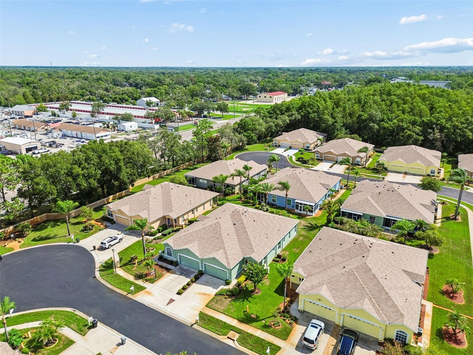 12154 PUTTER GREEN CT — photo 50