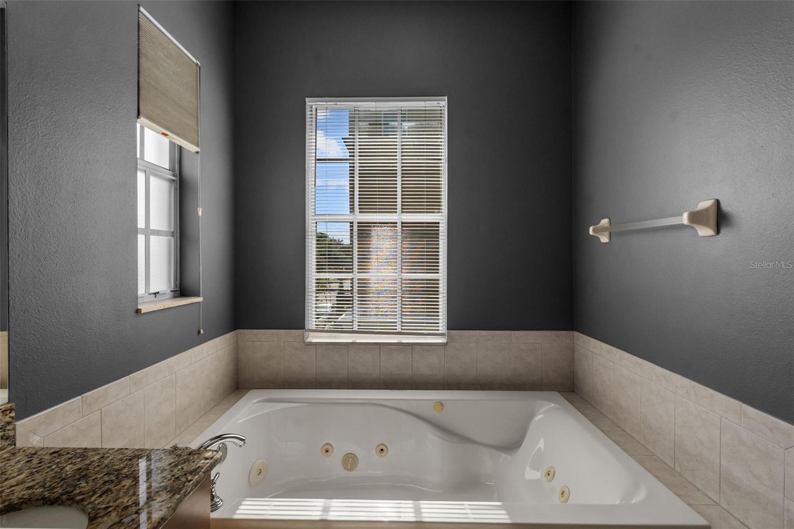 2419 VICTORIA GARDENS LN — photo 27