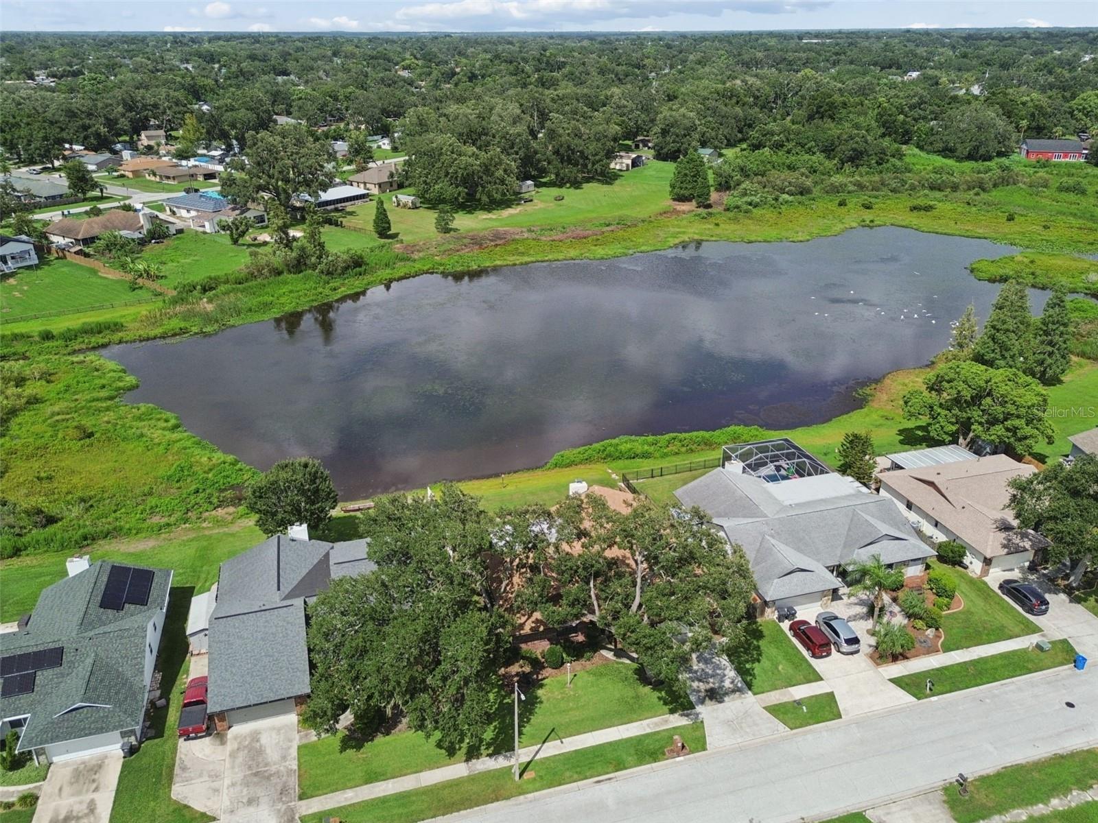 653 TIMBER POND DR — photo 68