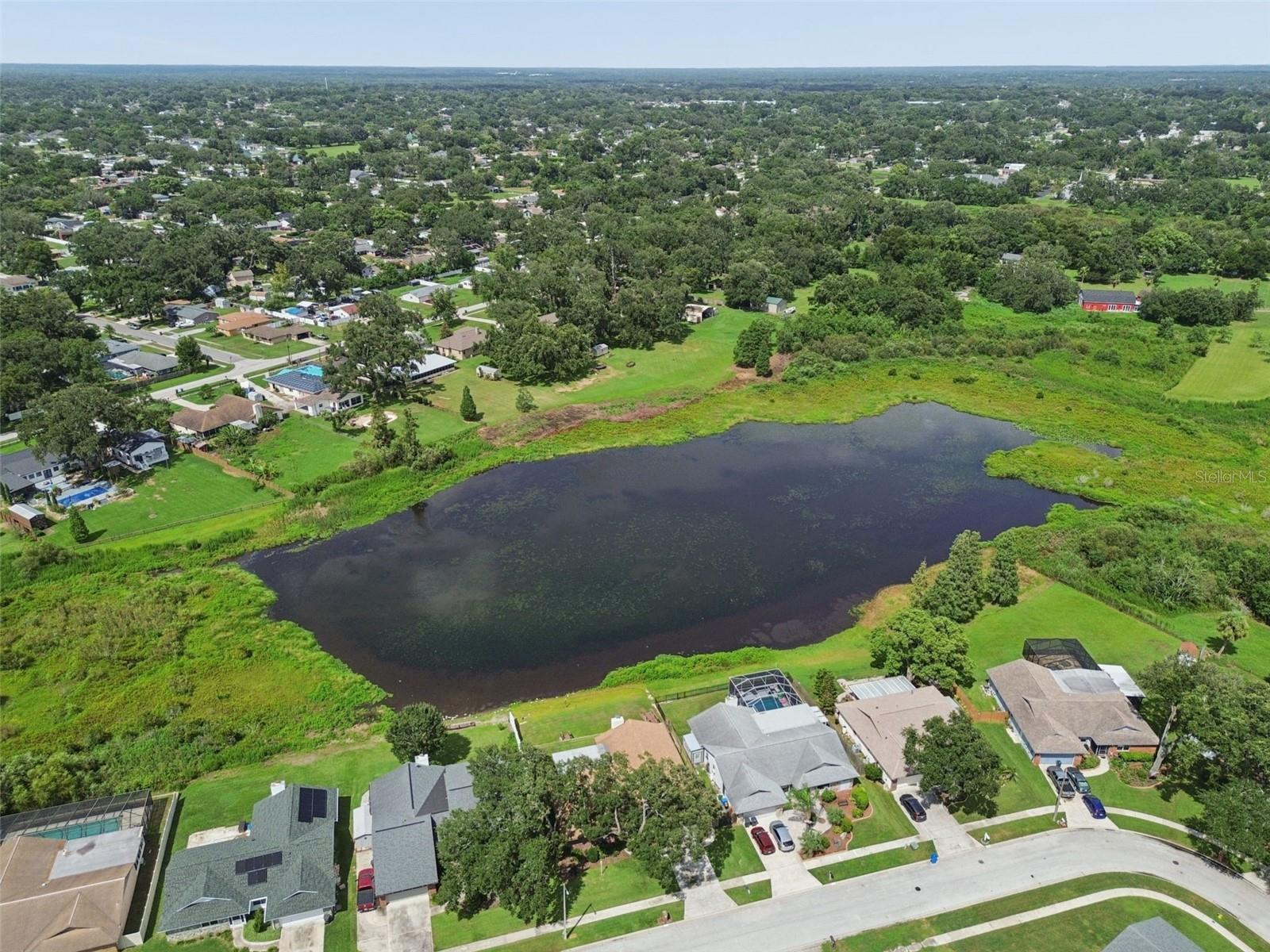653 TIMBER POND DR — photo 72