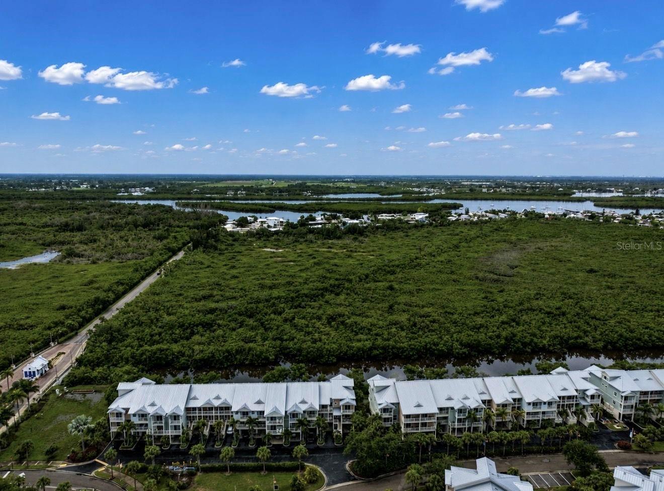 3228 MANGROVE POINT DR — photo 4