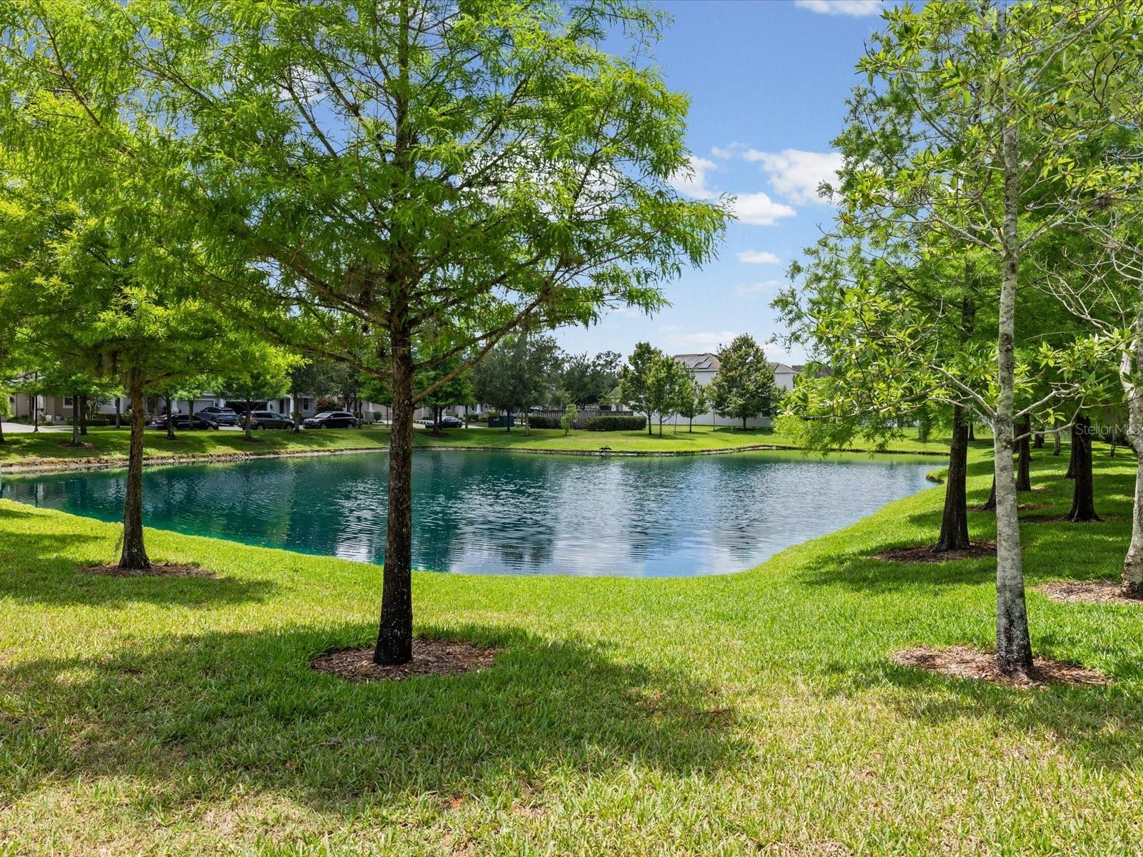 7117 PARK TREE DR — photo 61