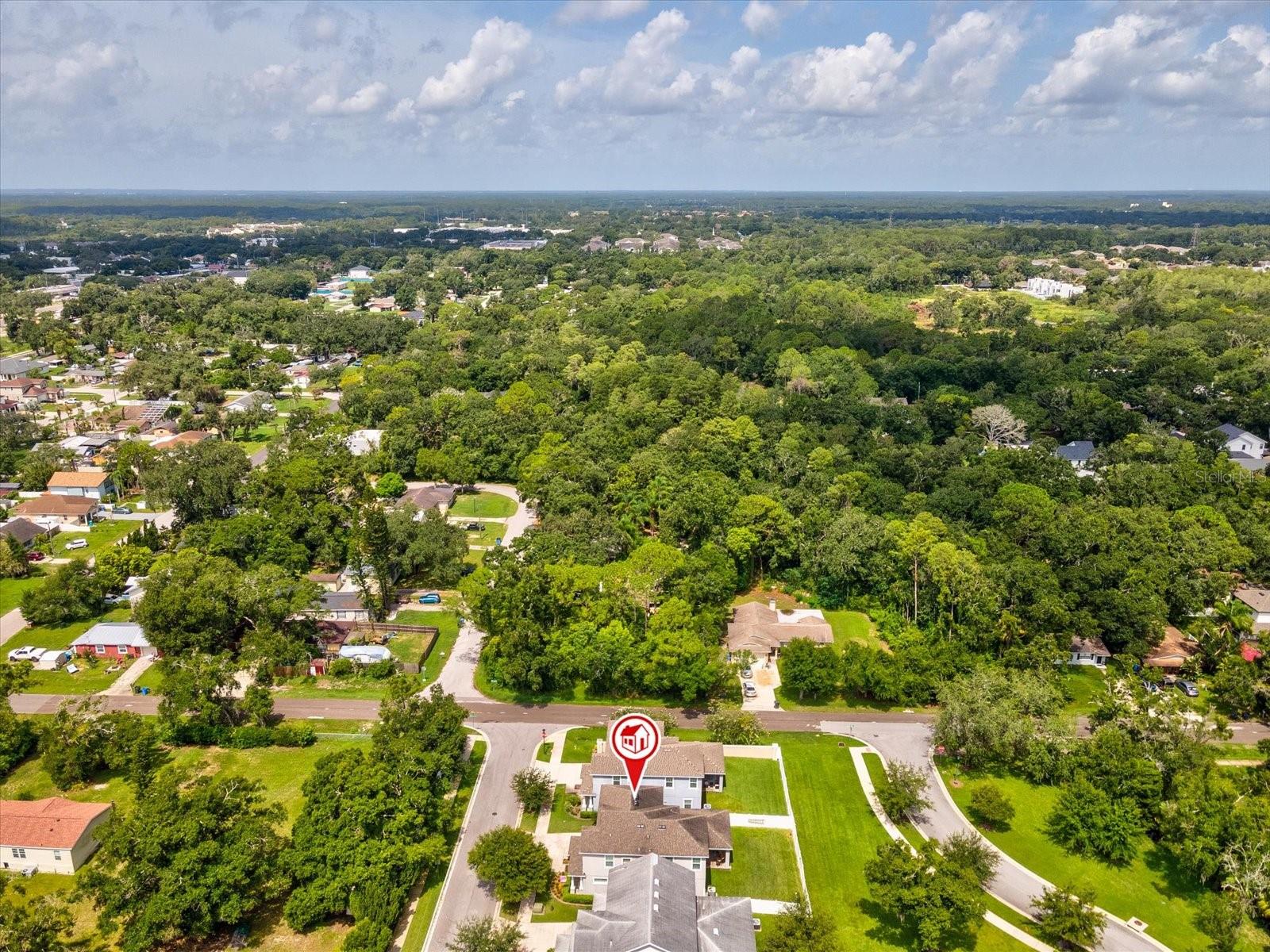 7117 PARK TREE DR — photo 49