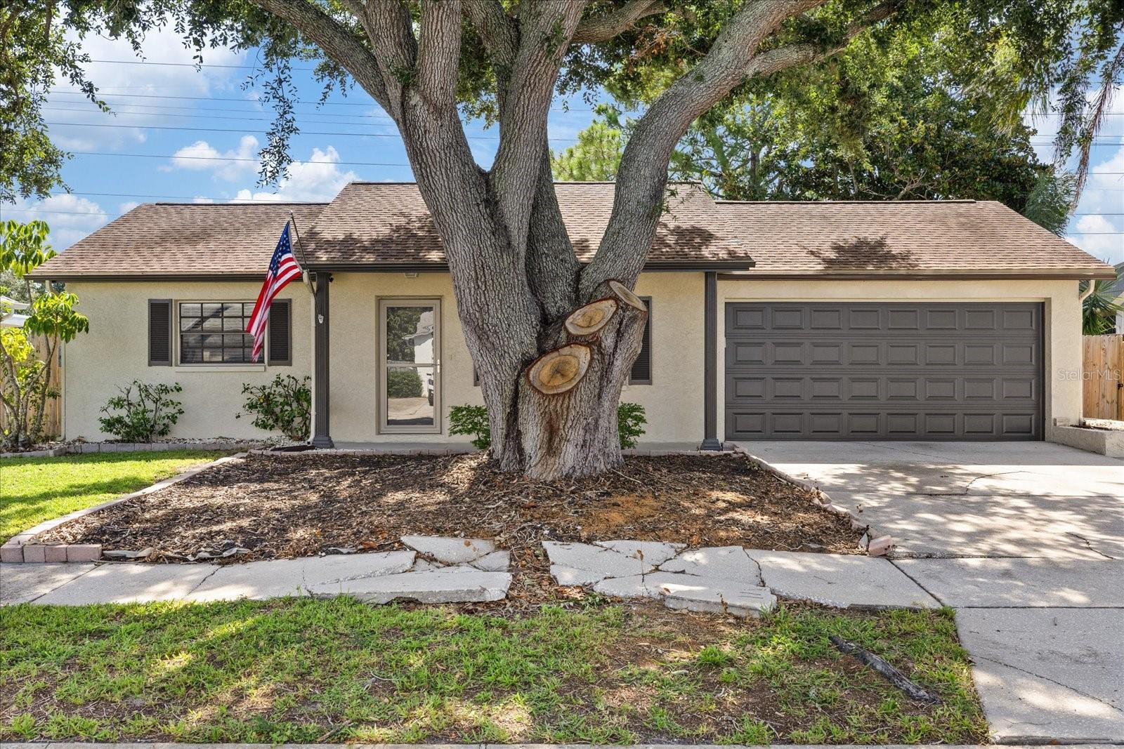 1310 MANDARIN DR — photo 4