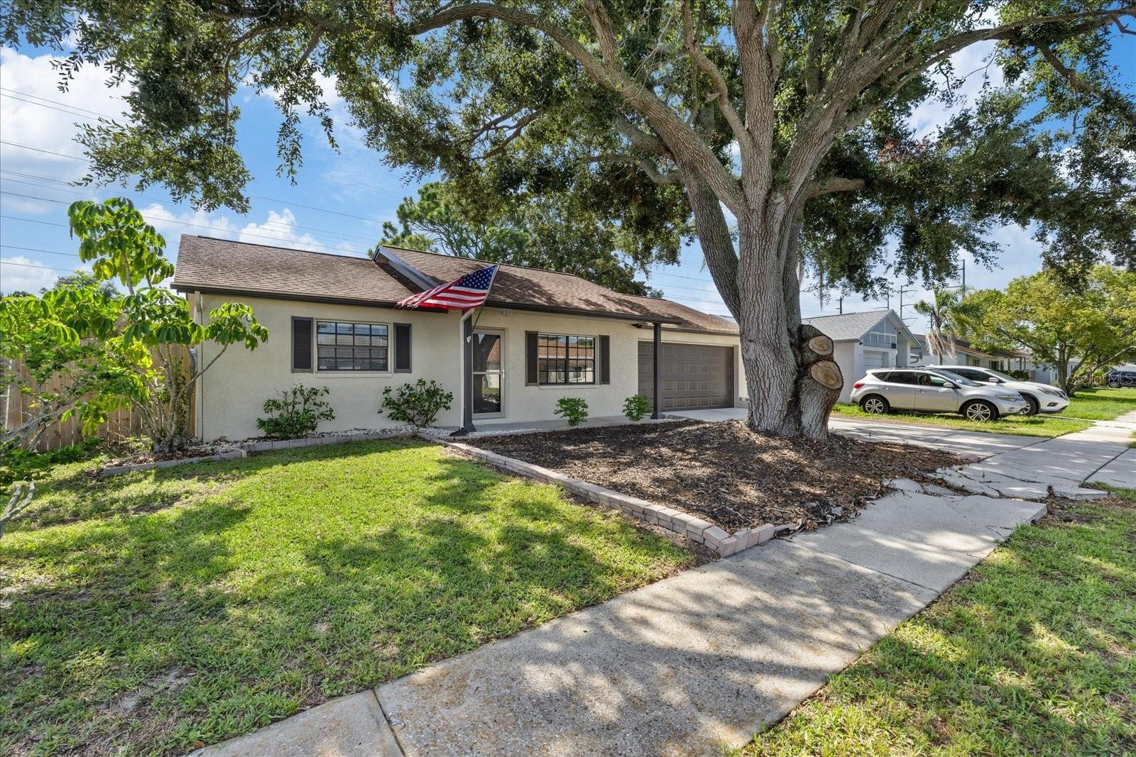 1310 MANDARIN DR — photo 6
