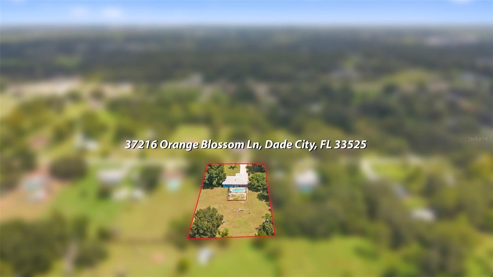 37216 ORANGE BLOSSOM LN — photo 47