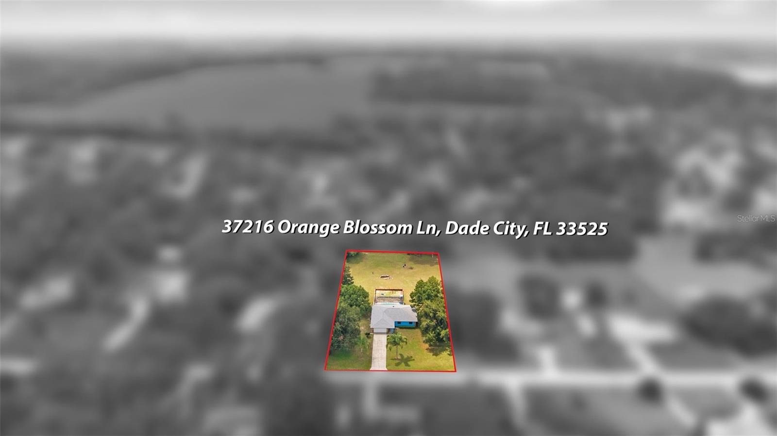 37216 ORANGE BLOSSOM LN — photo 52