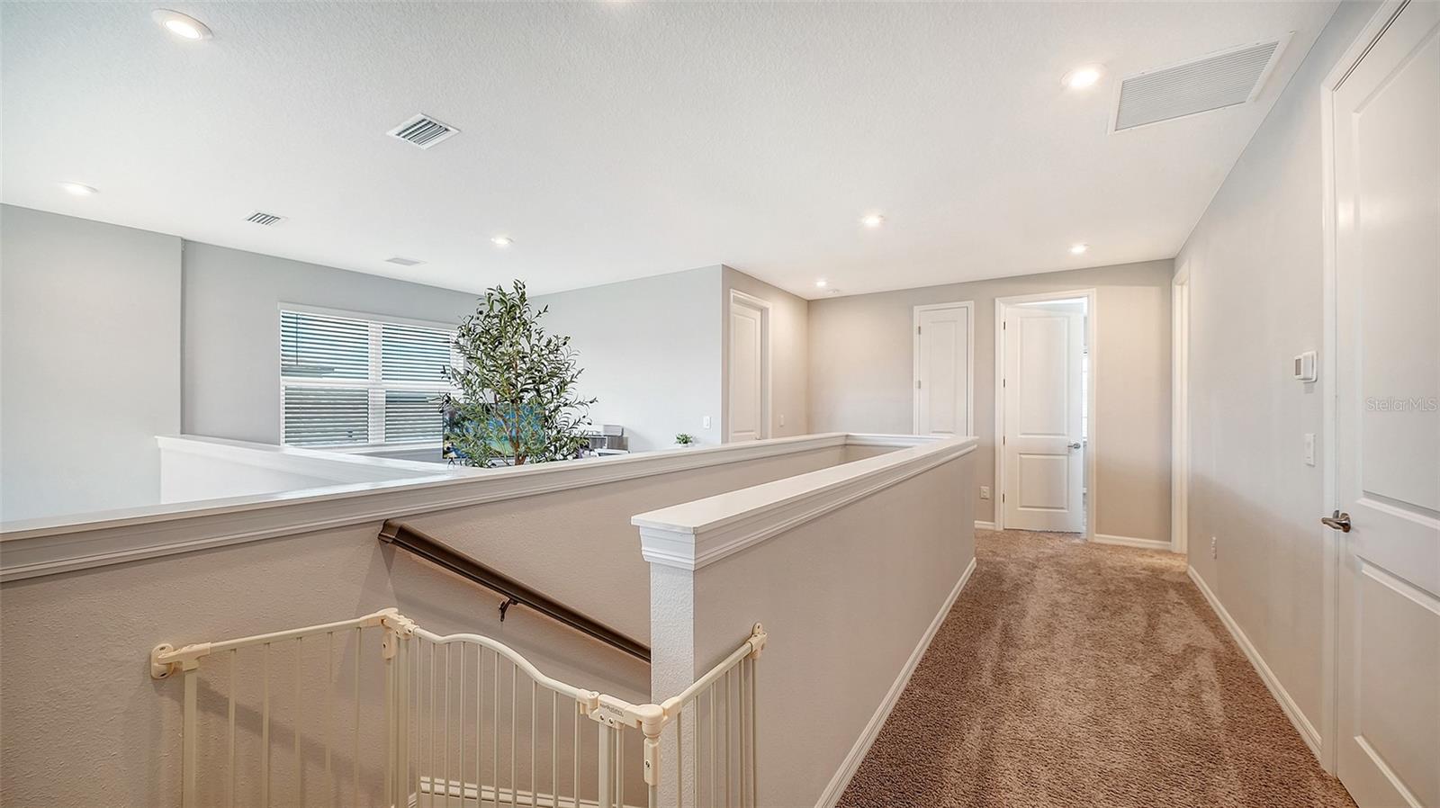 15336 ISLA PALMA LN — photo 26