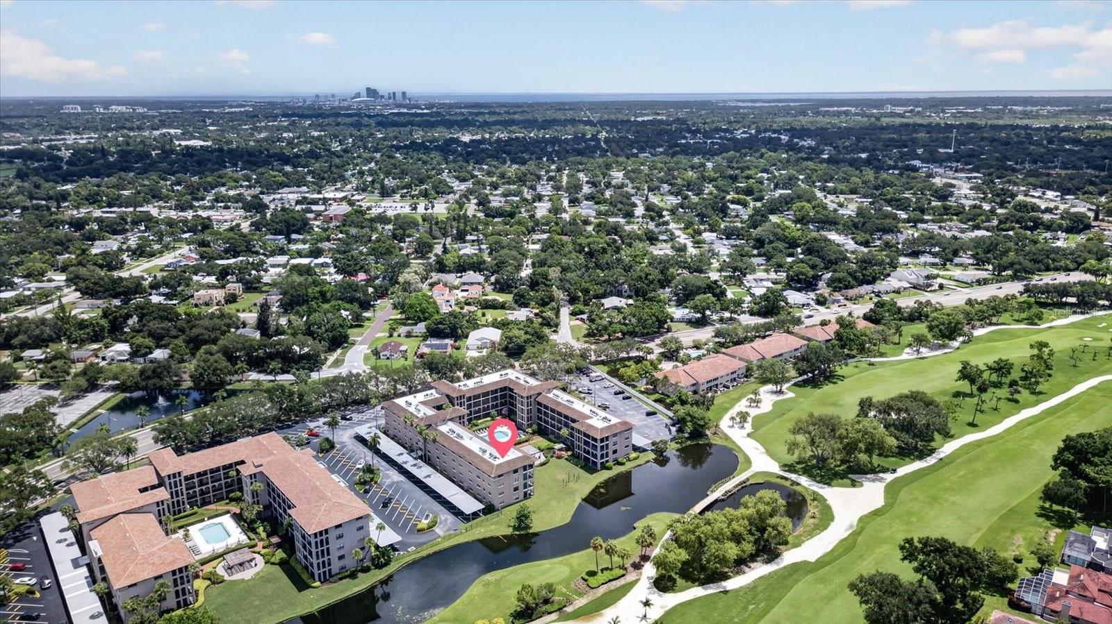 6100 GULFPORT BLVD S #401 — photo 48