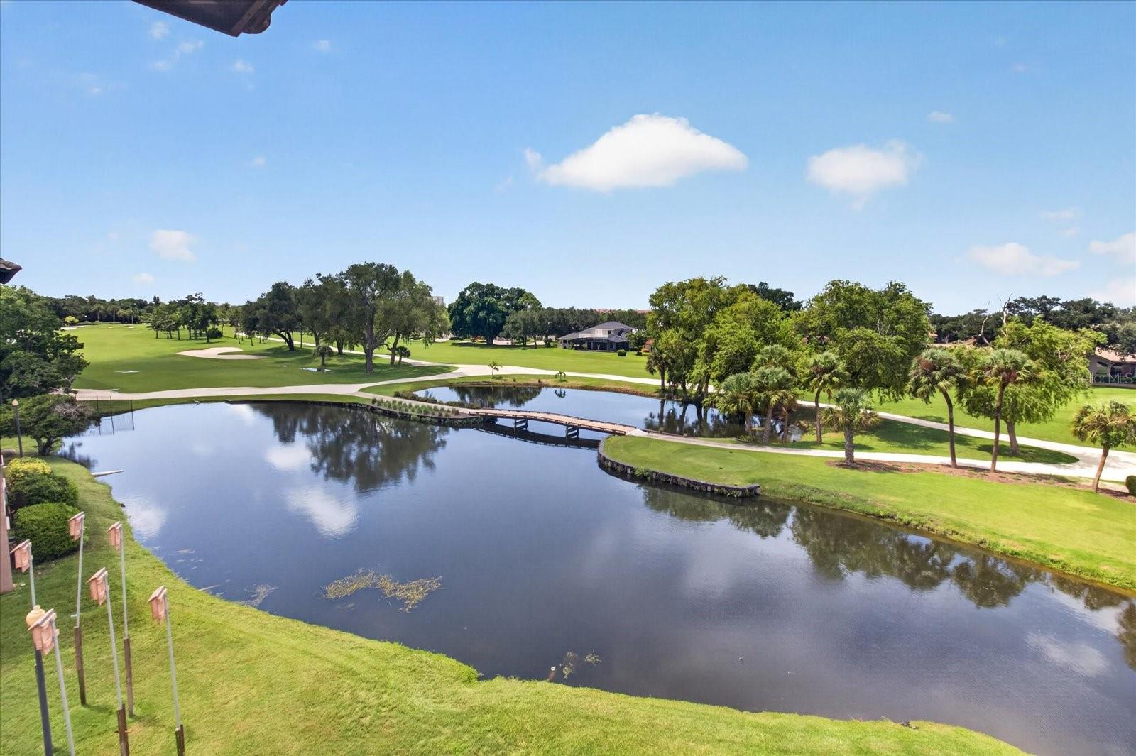 6100 GULFPORT BLVD S #401 — photo 54
