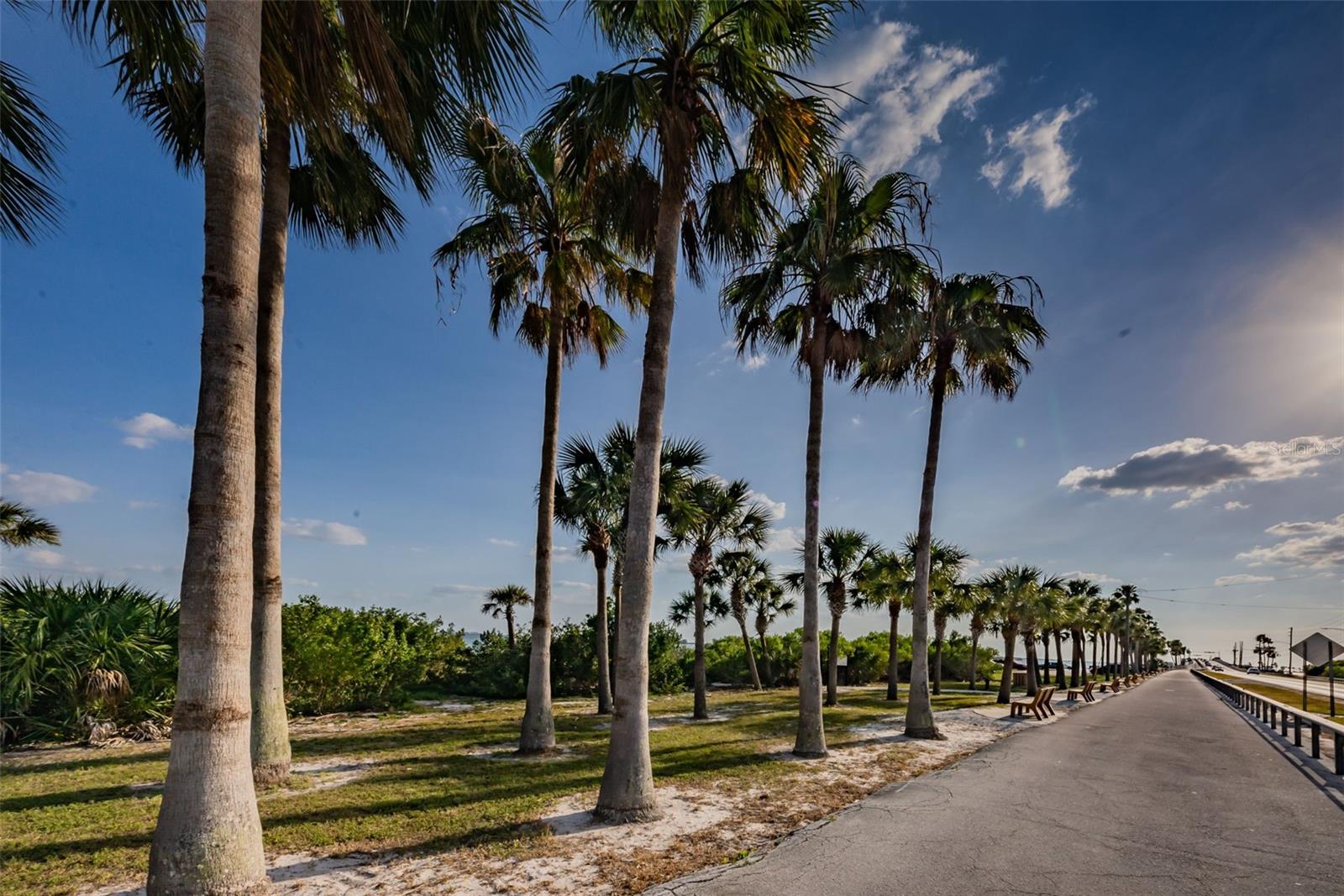 1340 BAYSHORE BLVD #304 — photo 79
