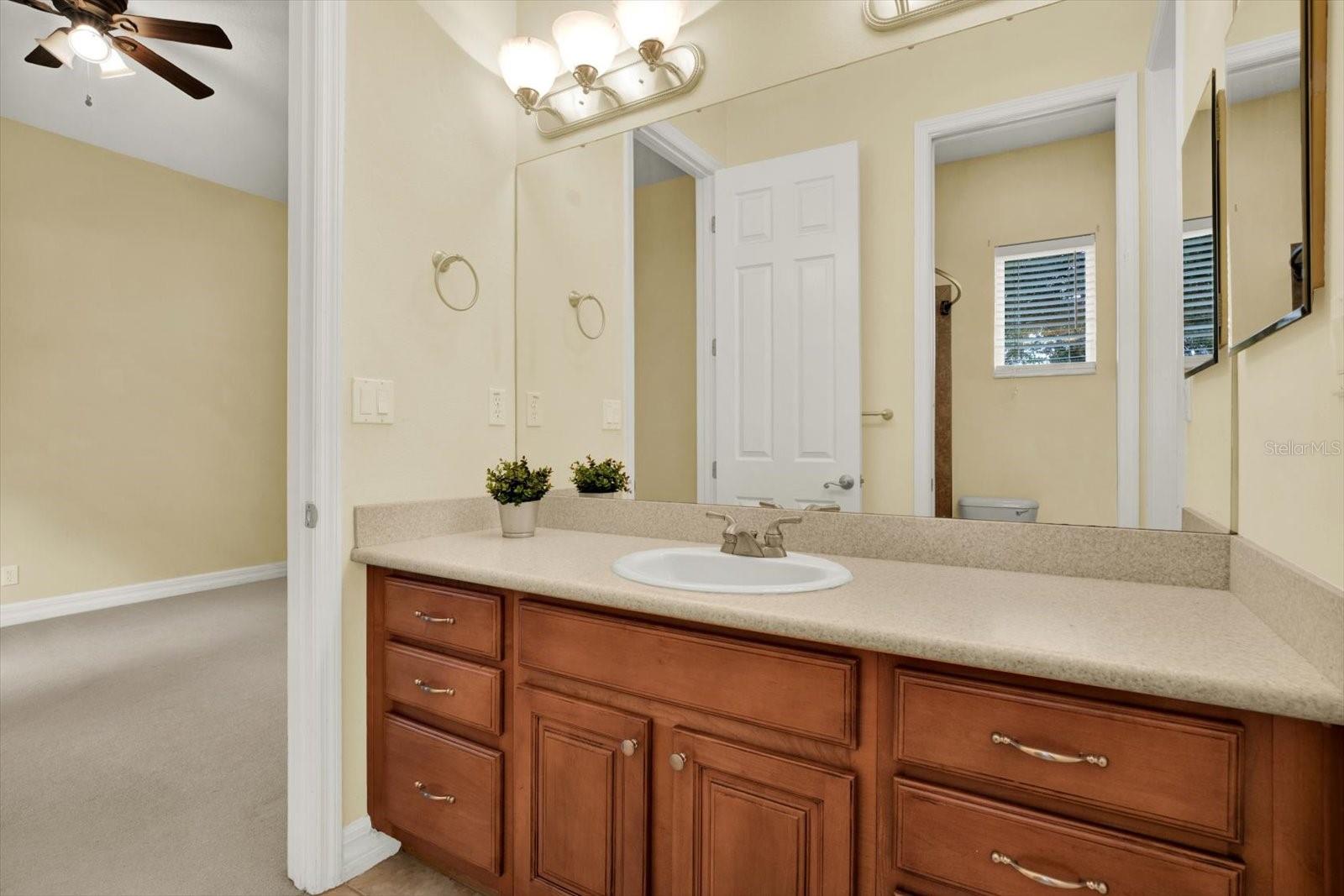 5207 LAKE VENICE DR — photo 35