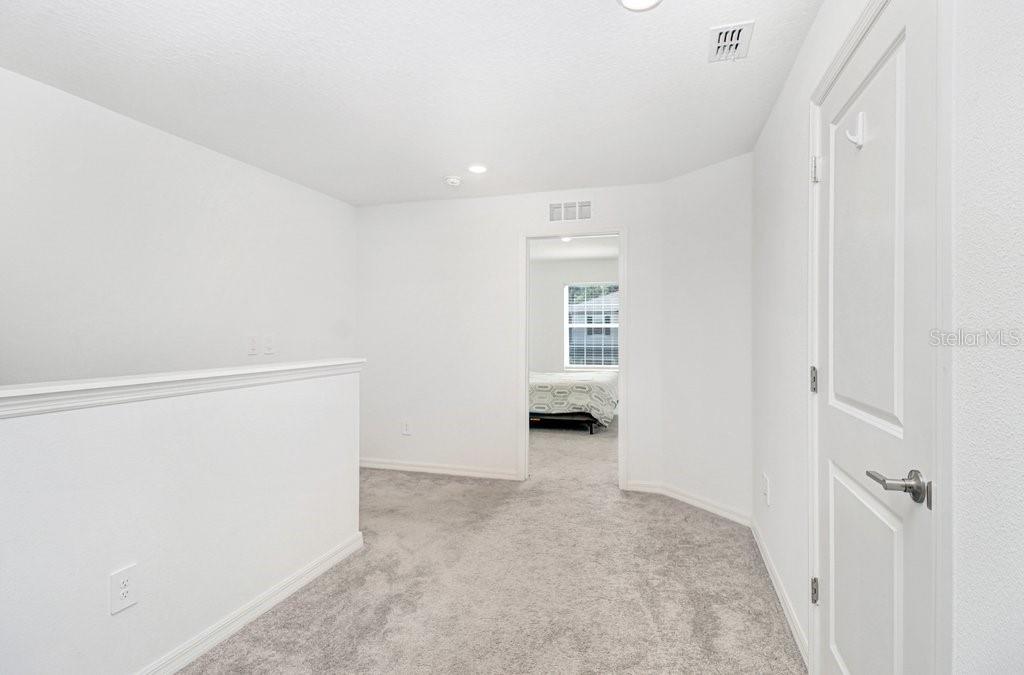 10263 TRUMPET HONETSUCKLE WAY — photo 19