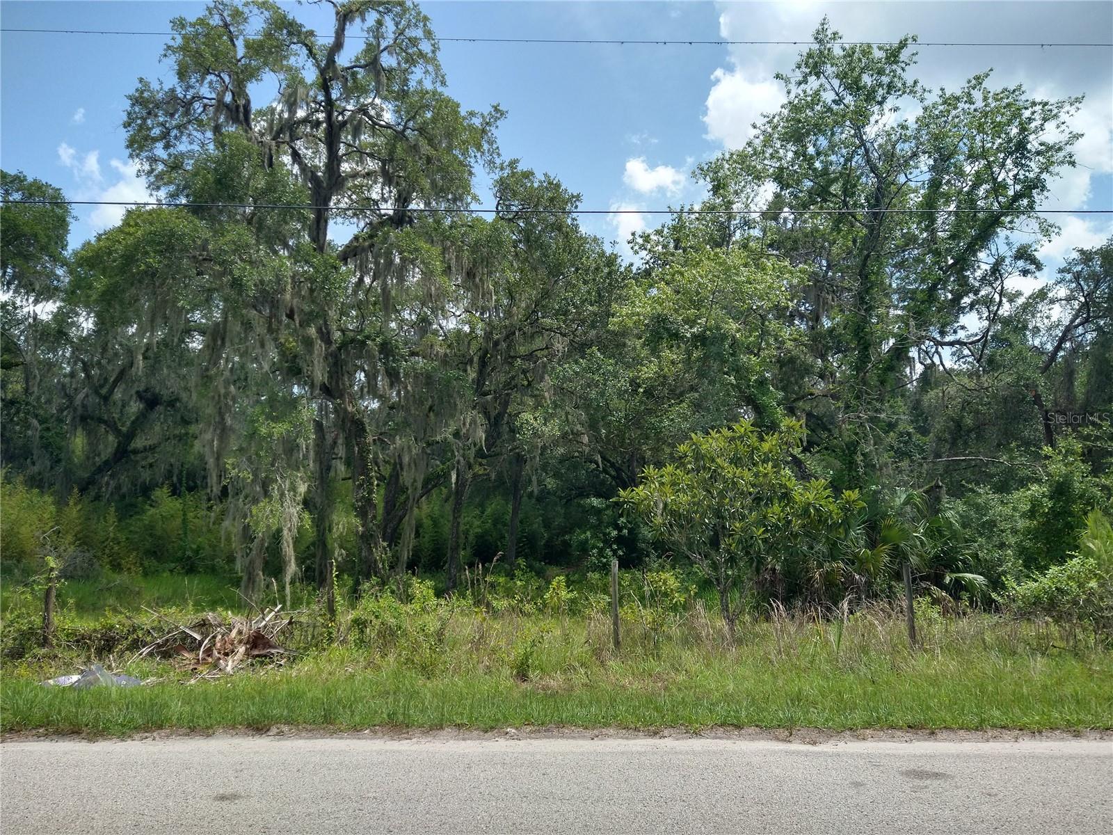 10616 SHADY DR — photo 12