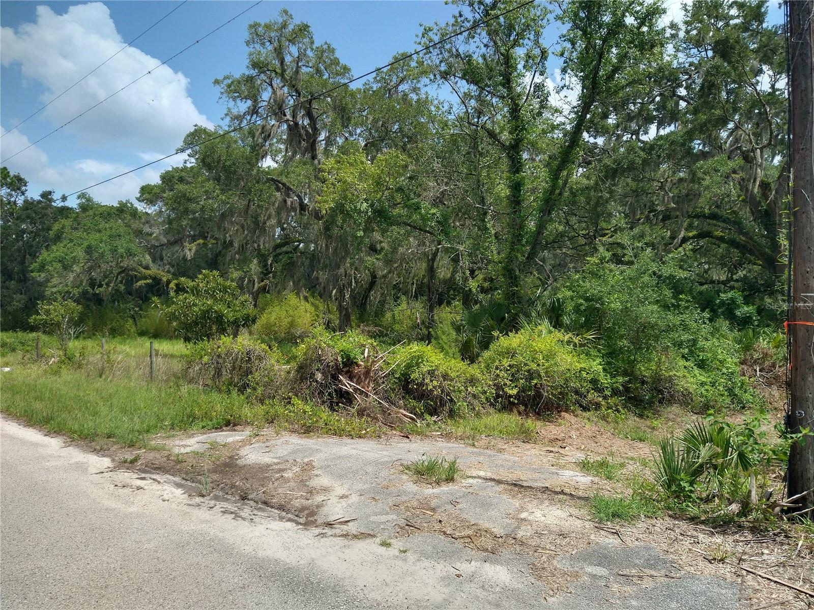 10616 SHADY DR — photo 14