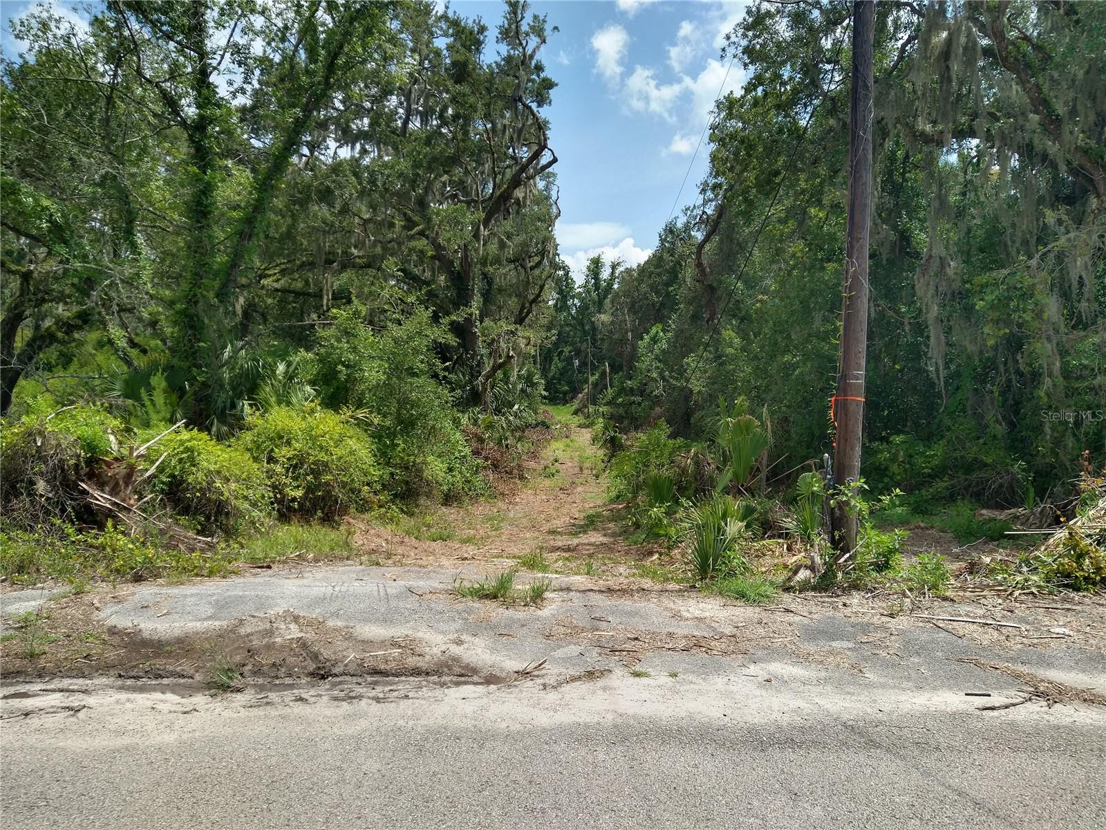 10616 SHADY DR — photo 13