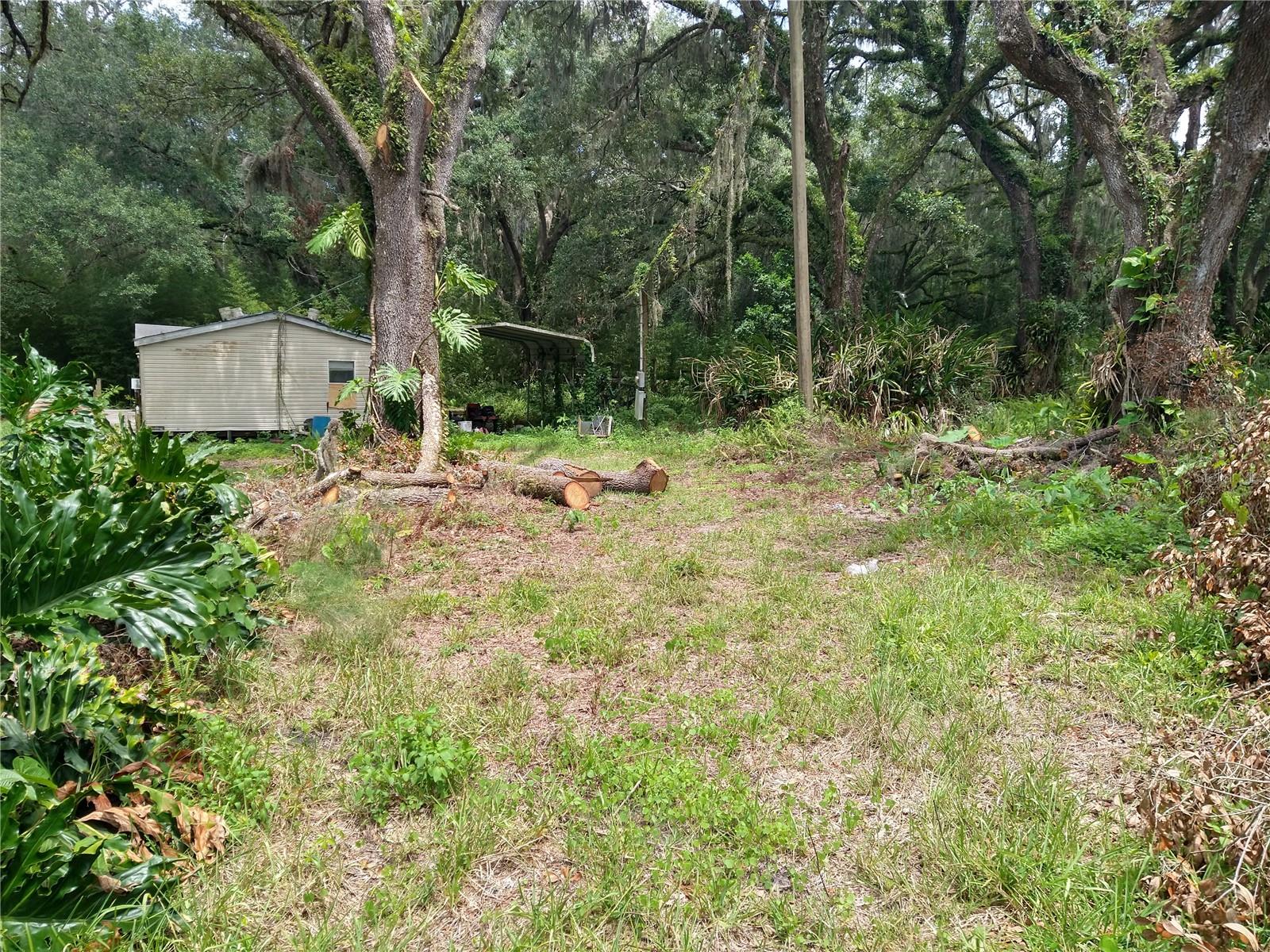 10616 SHADY DR — photo 4