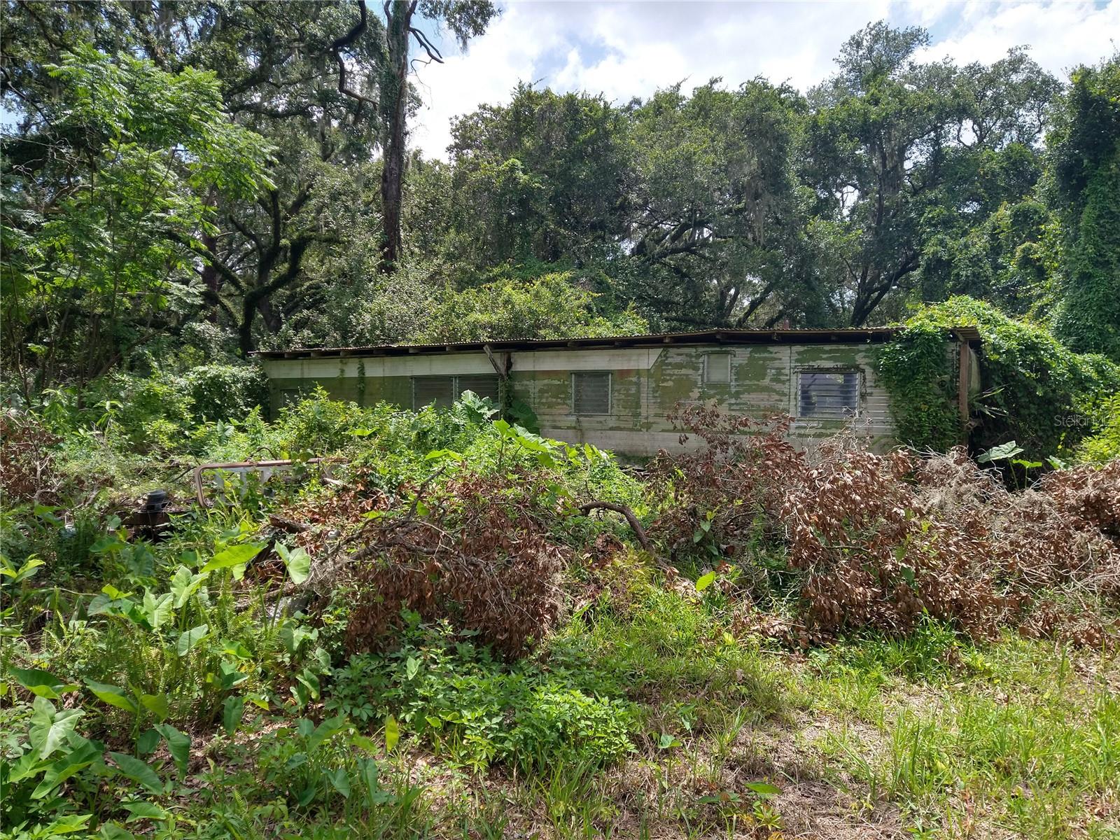 10616 SHADY DR — photo 5