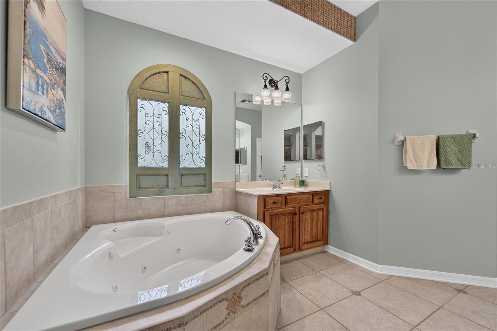 5226 BRIGHTON SHORE DR — photo 54