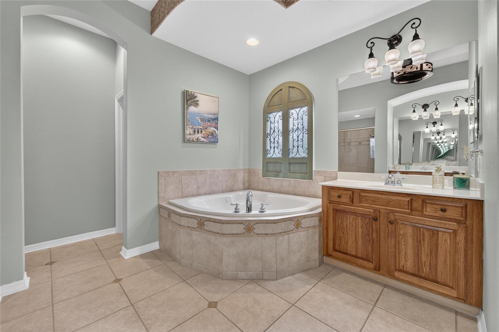 5226 BRIGHTON SHORE DR — photo 52