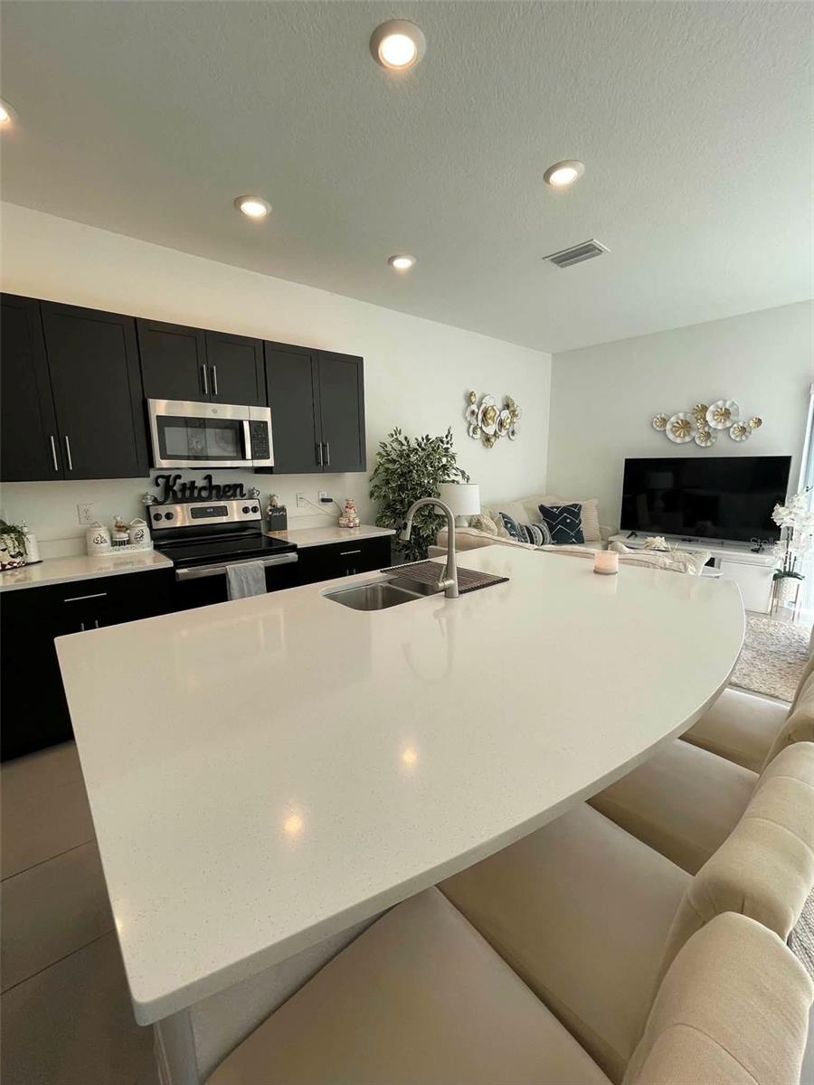 2516 PARAVANE WAY — photo 8