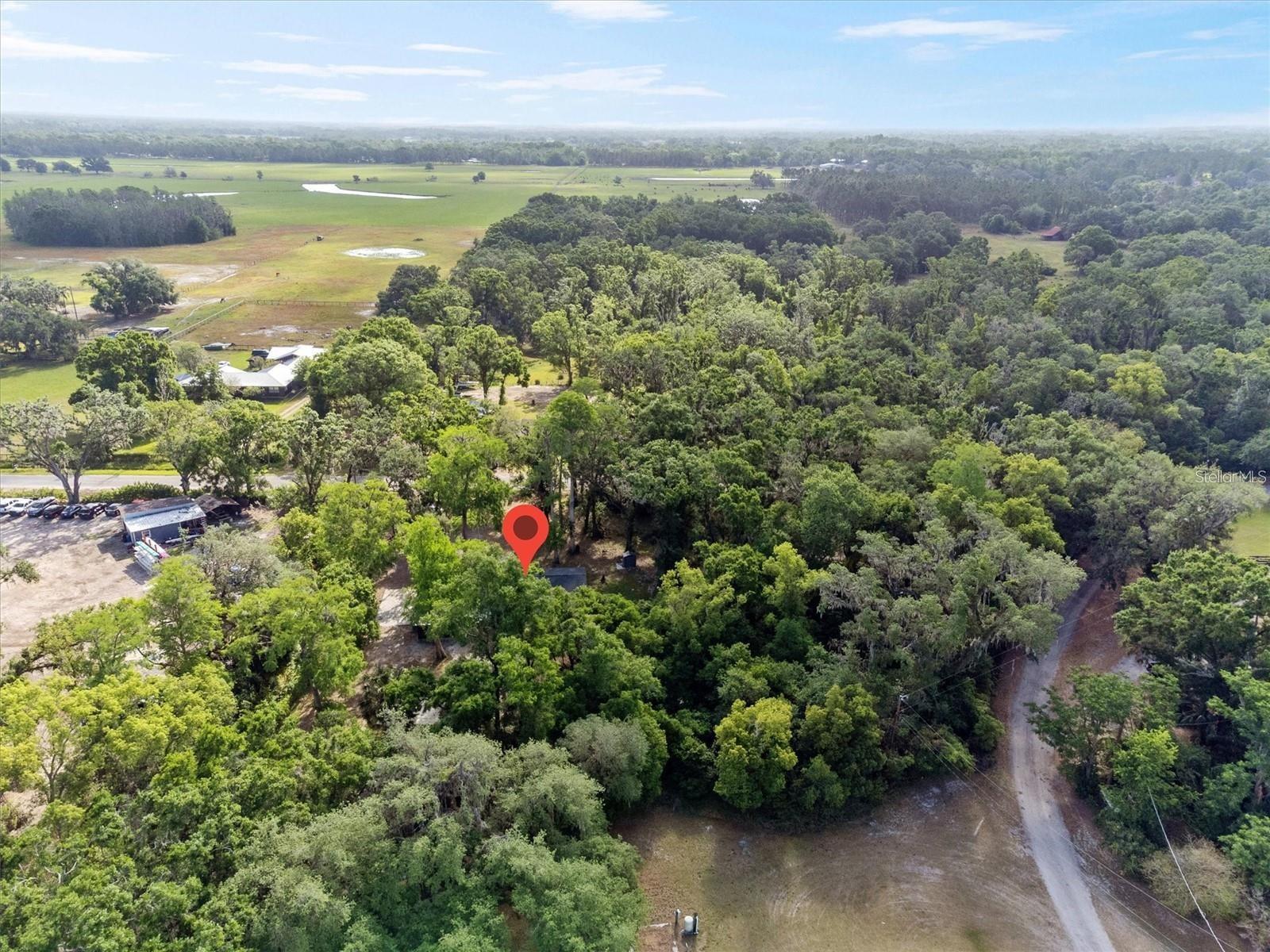 6005 IKE SMITH RD — photo 37