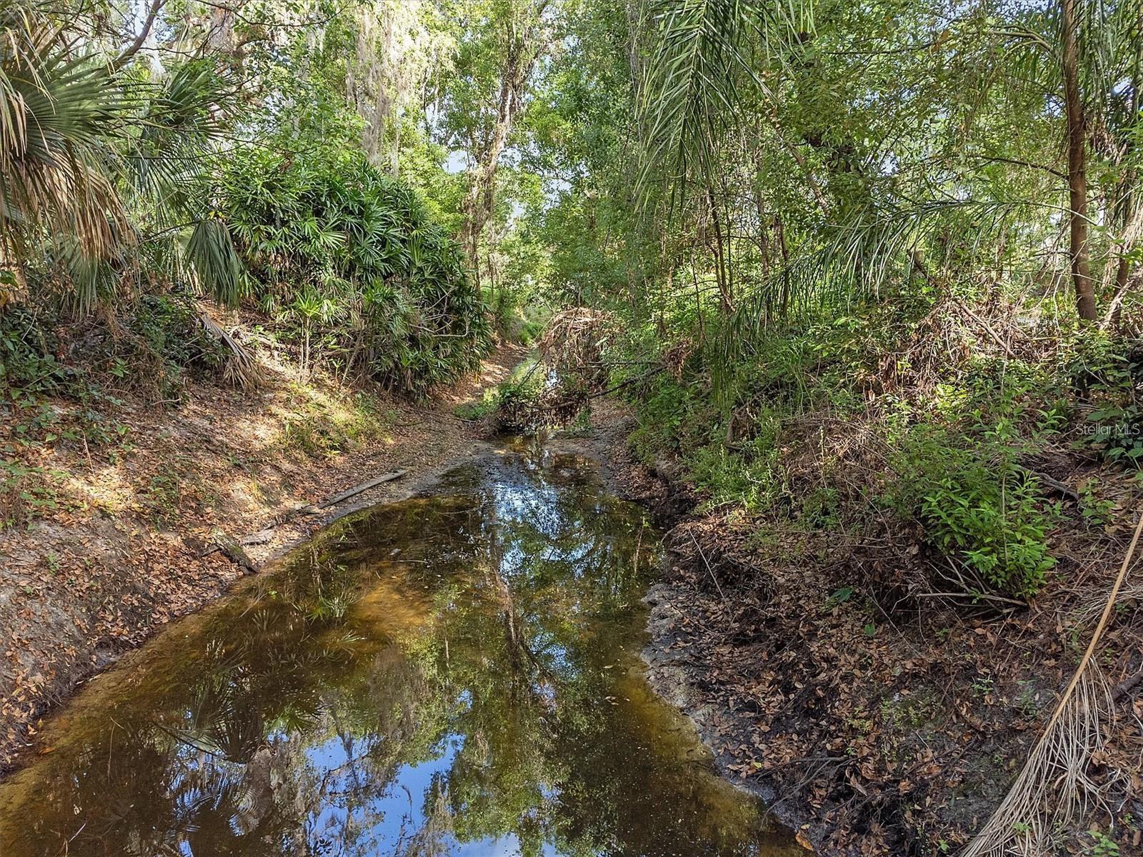 6005 IKE SMITH RD — photo 32
