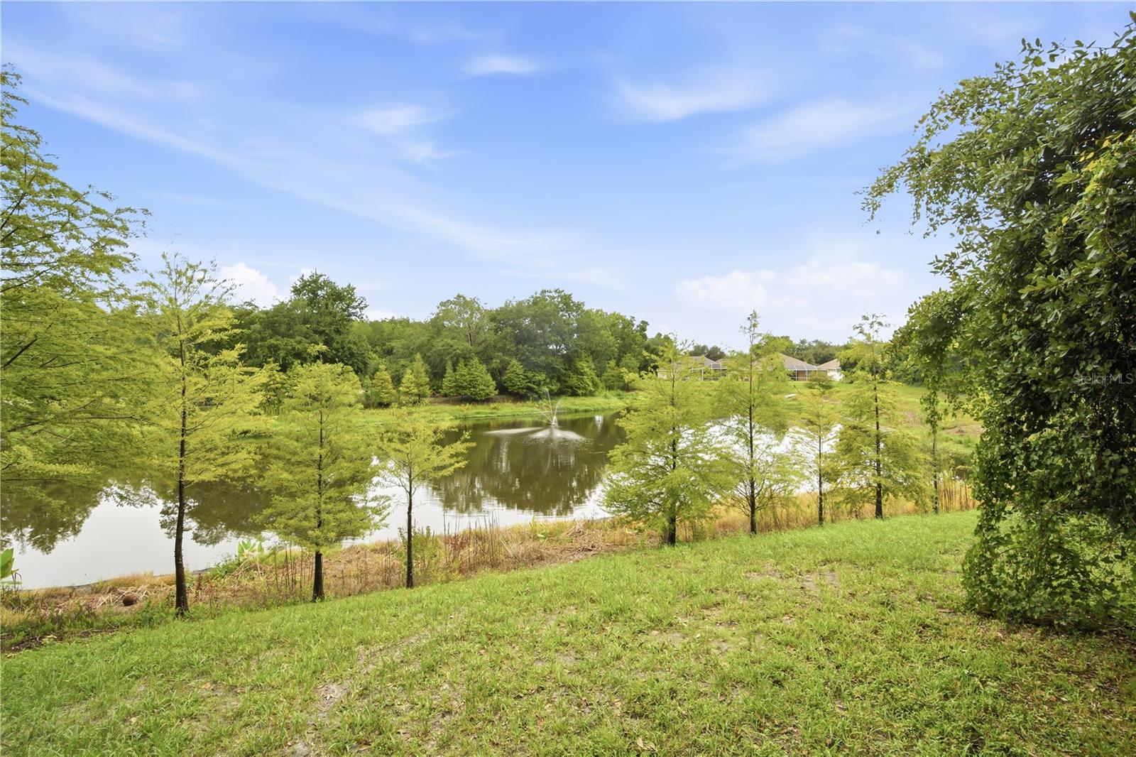 18126 BIRDWATER DR — photo 22