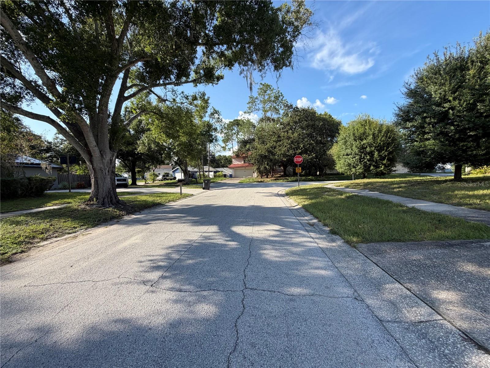 14705 PENGUIN PL — photo 14