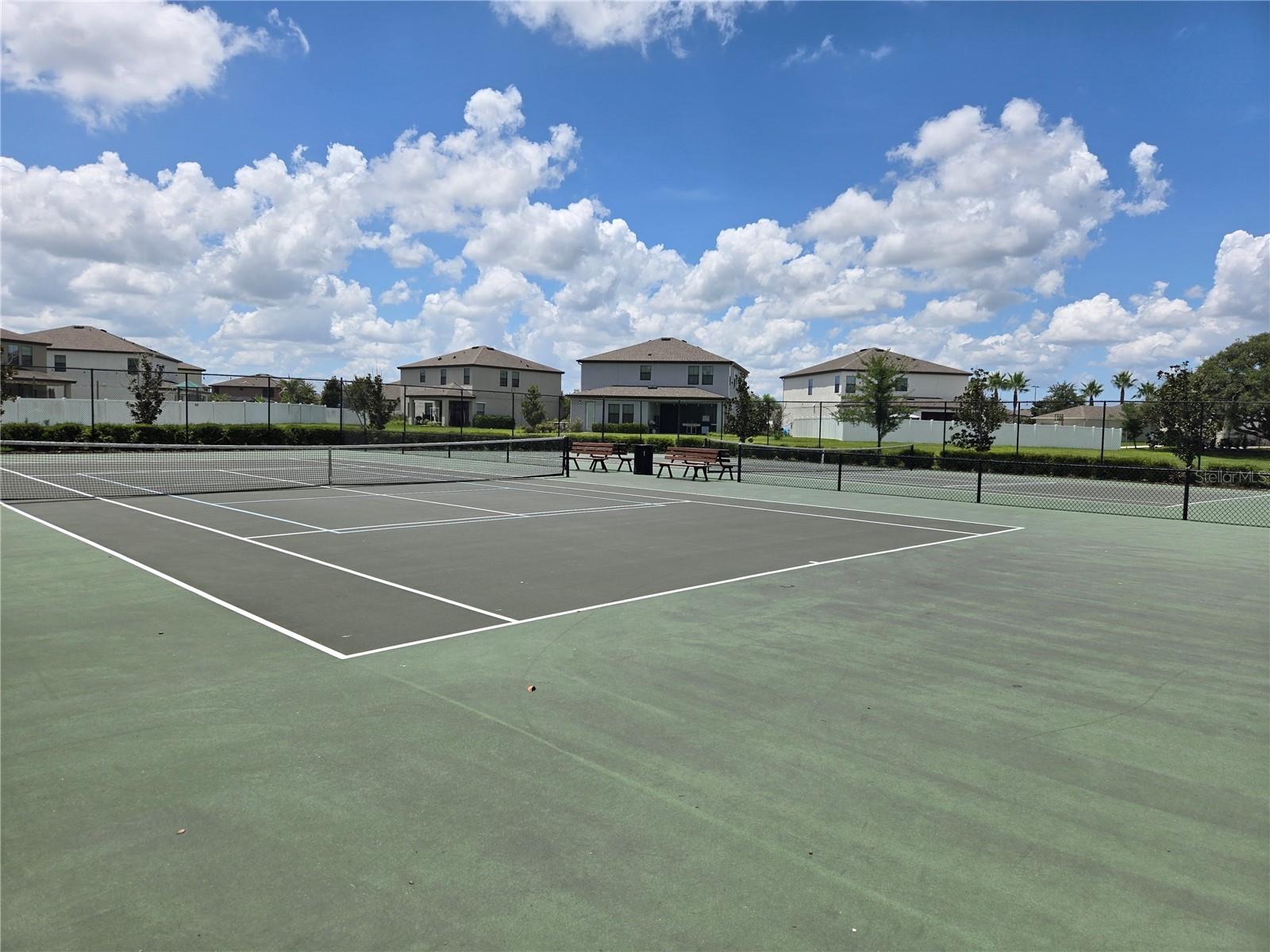 12730 MANGROVE FOREST DR — photo 38