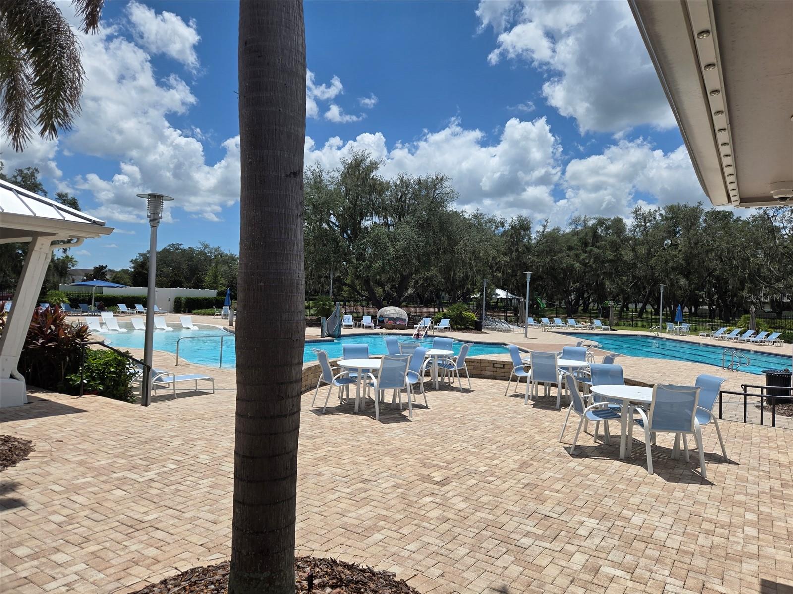12730 MANGROVE FOREST DR — photo 33
