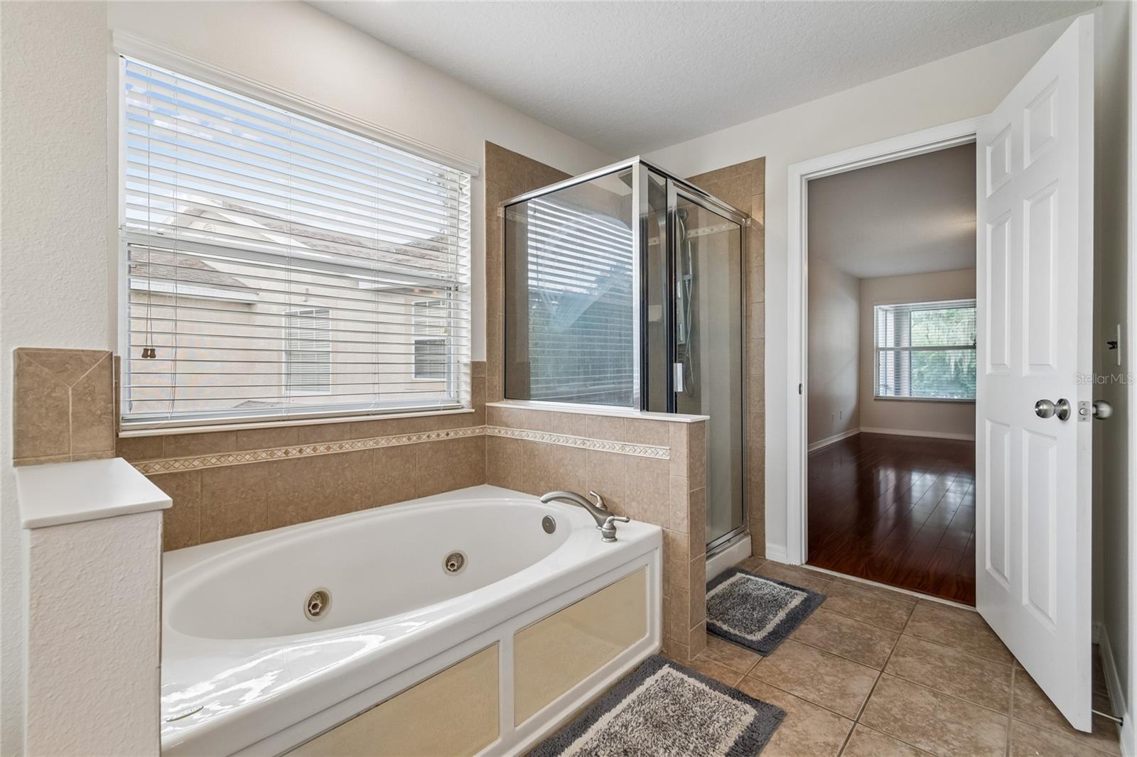 11232 CREEK HAVEN DR — photo 32