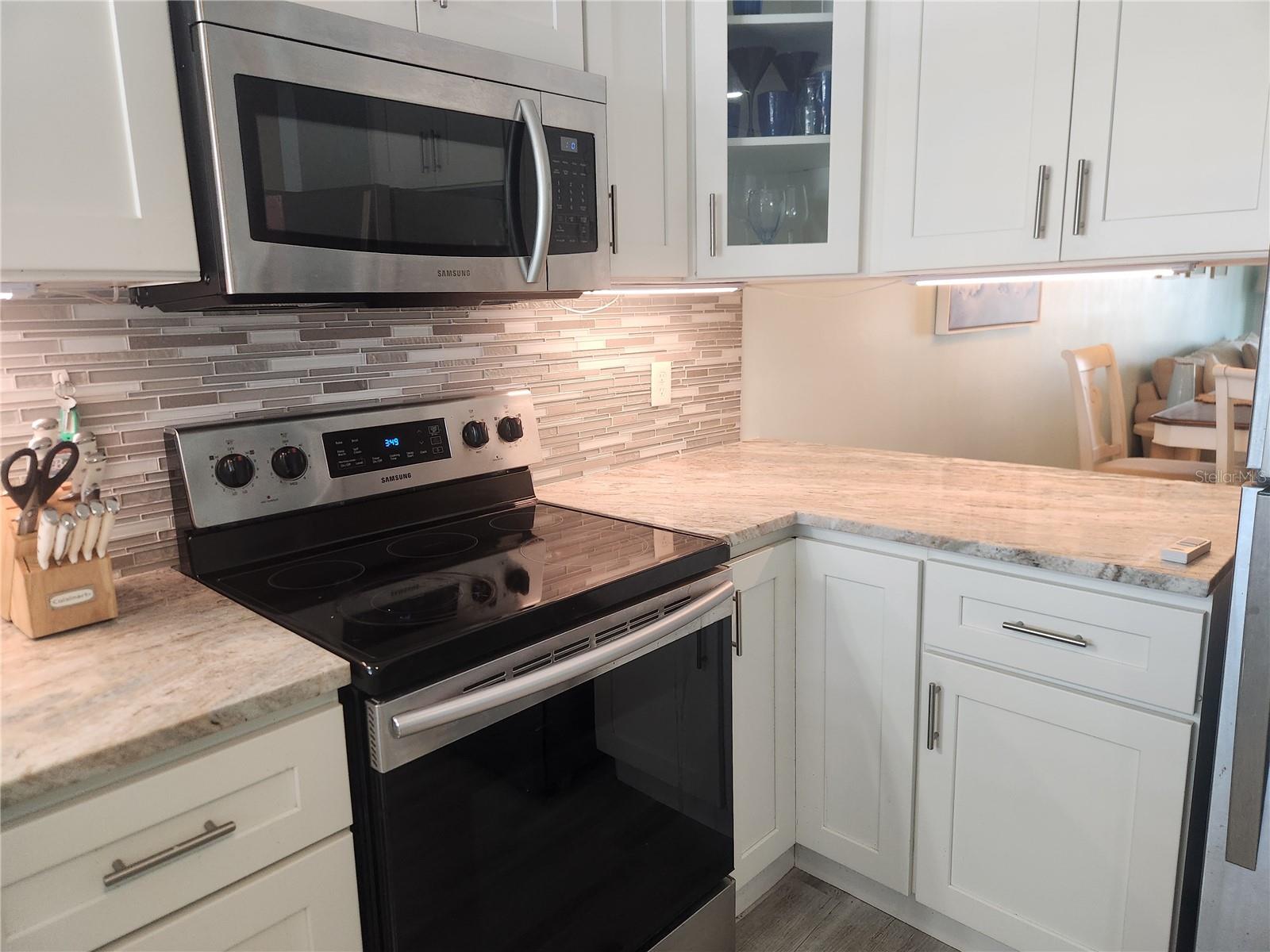 1008 APOLLO BEACH BLVD #204 — photo 4