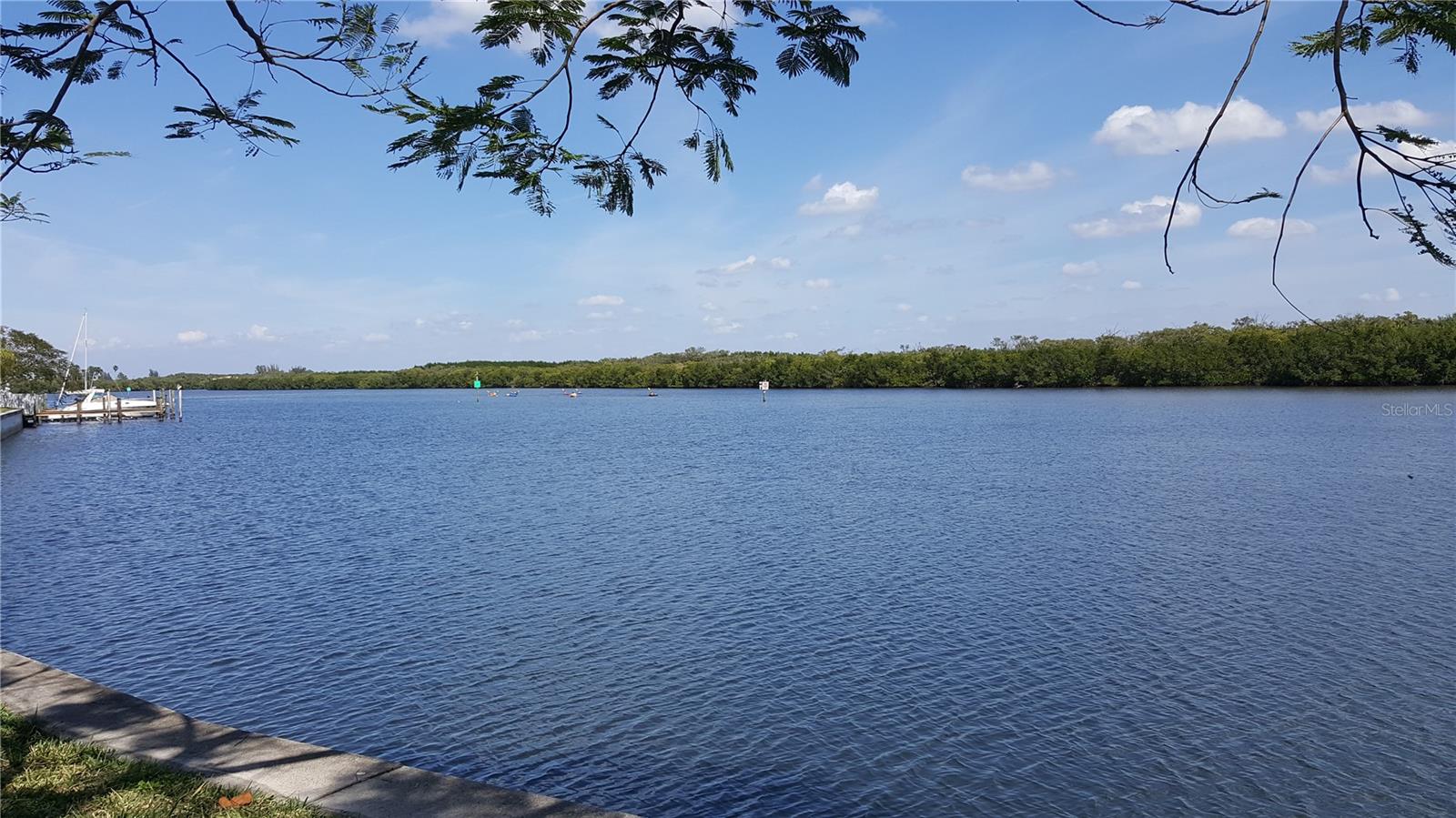 3259 MANGROVE POINT DR — photo 45