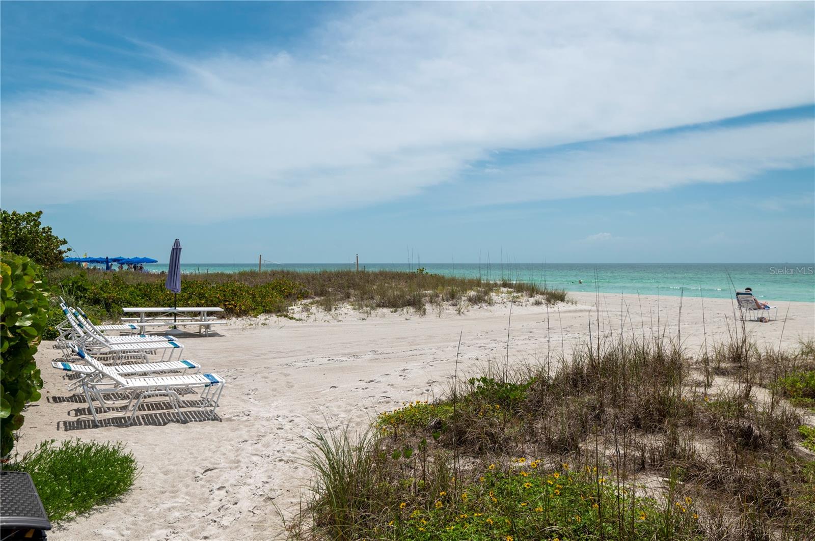 2675 GULF OF MEXICO DR #204 — photo 42