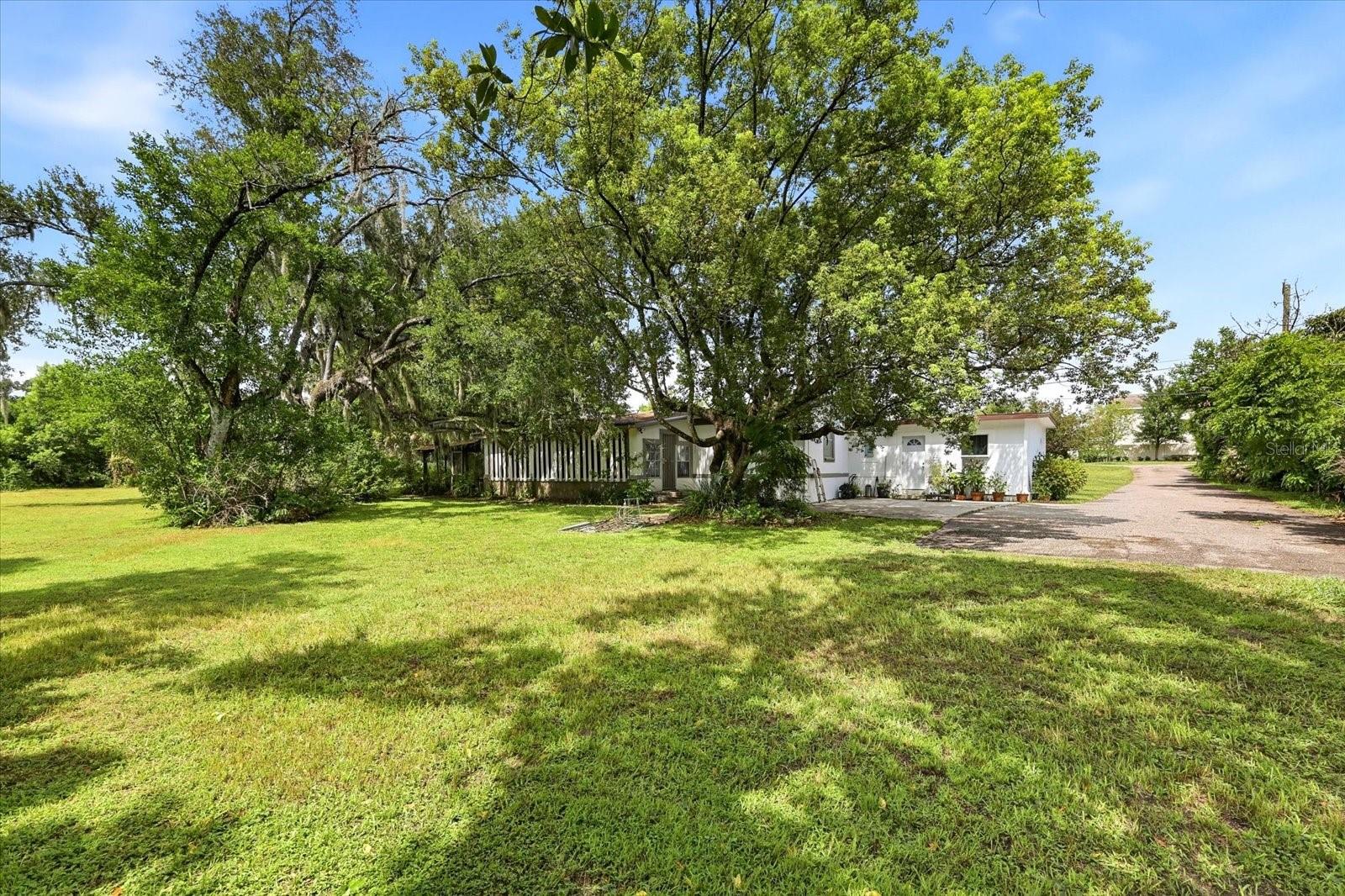 403 S PARSONS AVE — photo 5