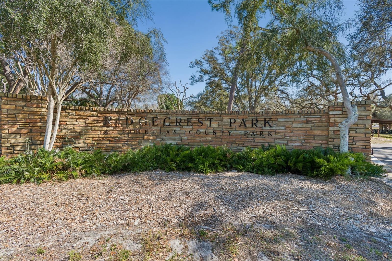 2131 RIDGE RD S #99 — photo 43