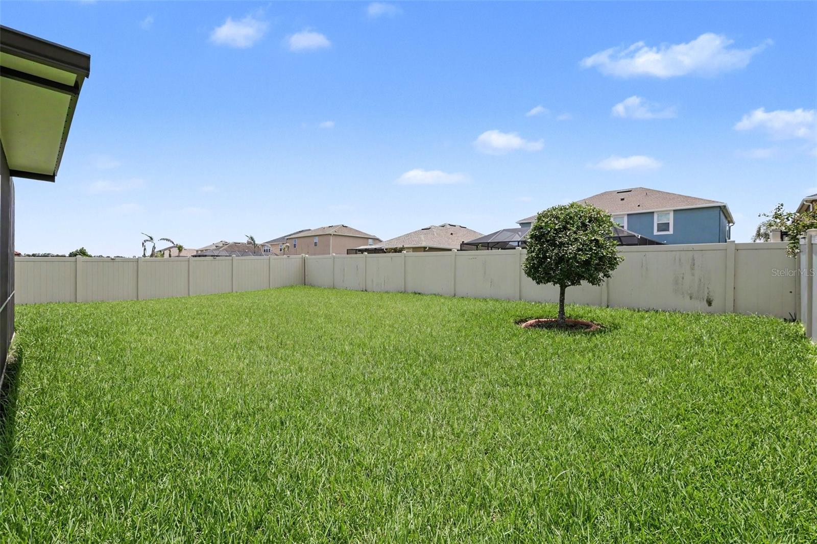 12005 CINNAMON FERN DR — photo 24