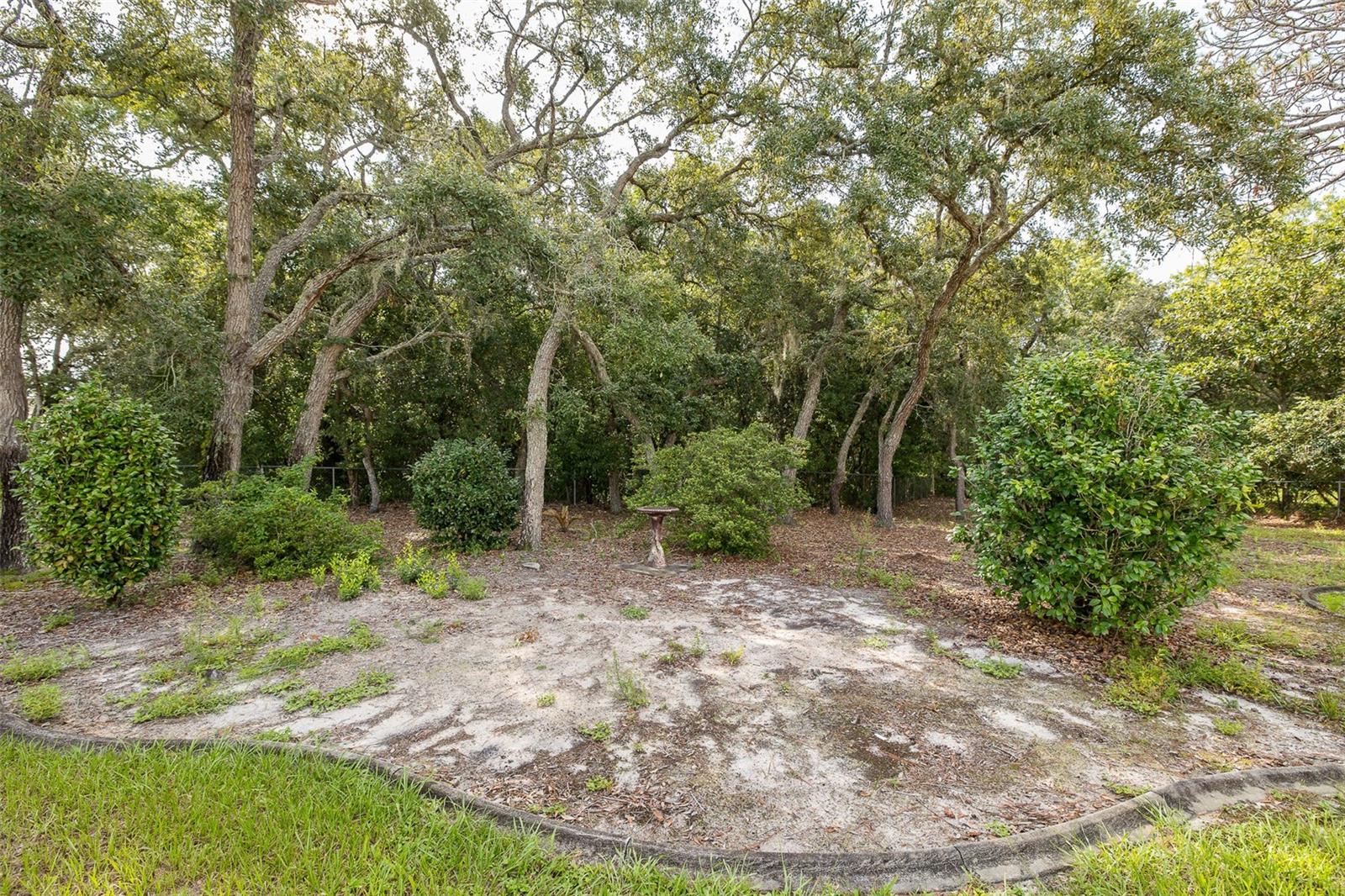 18822 MAJESTIC OAK CT — photo 67