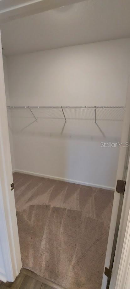 812 KINGS PINE CT — photo 17