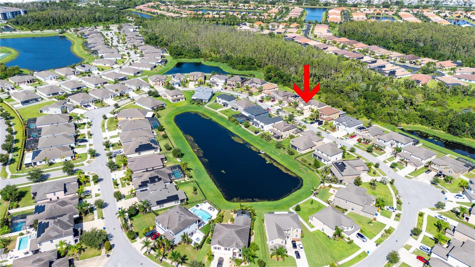 5049 IVORY STONE DR — photo 64