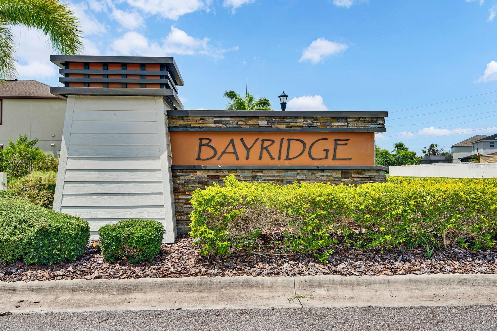 1407 CUSTER BAYOU ST — photo 49