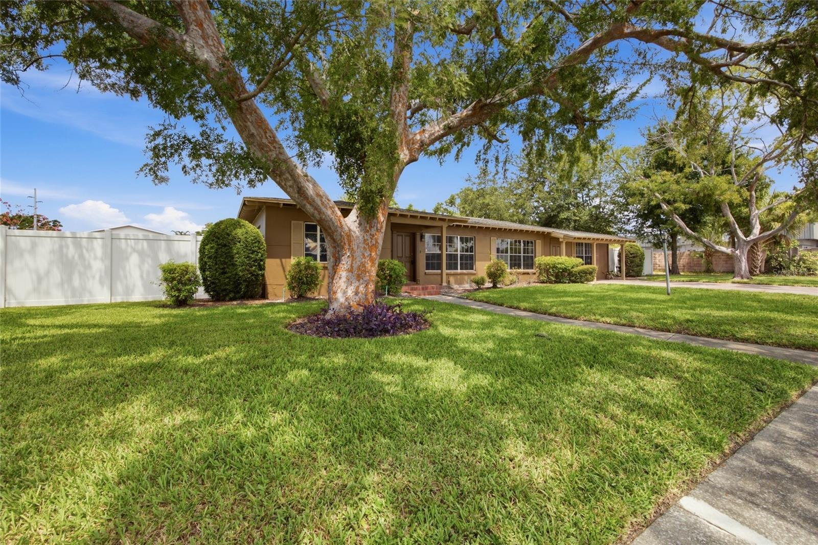 808 N MACDILL AVE — photo 3