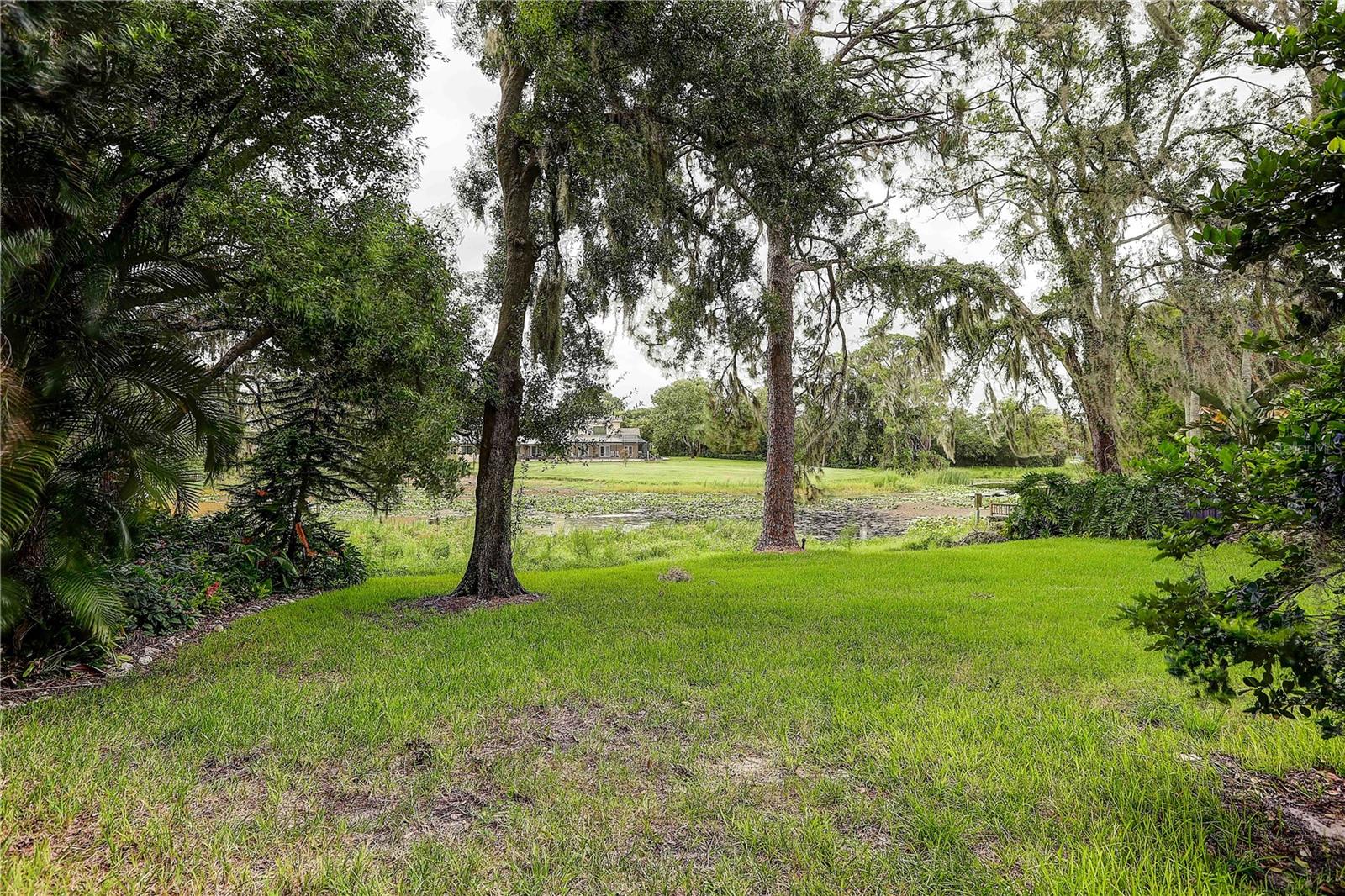 1508 ECKLES DR — photo 63