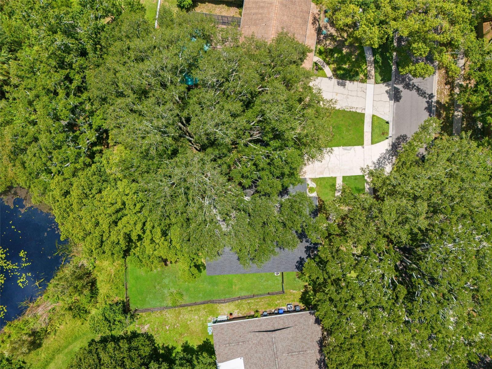 15521 WETSTONE DR — photo 24