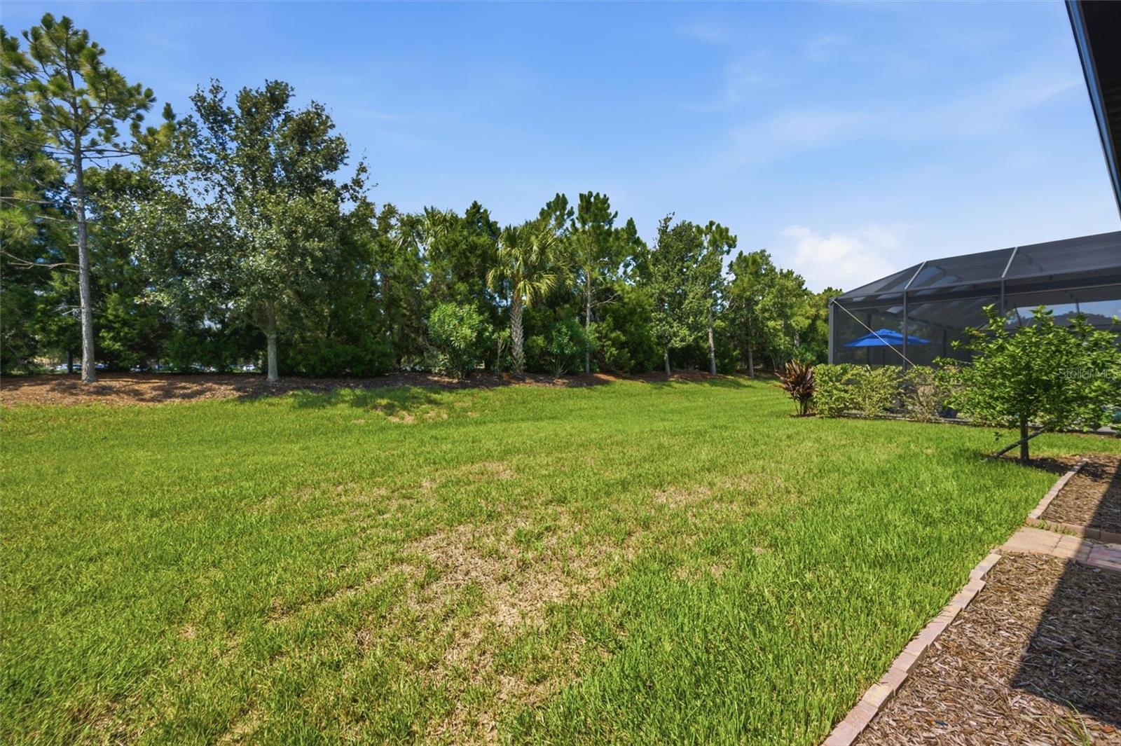 6713 ALSTEAD CIR — photo 51