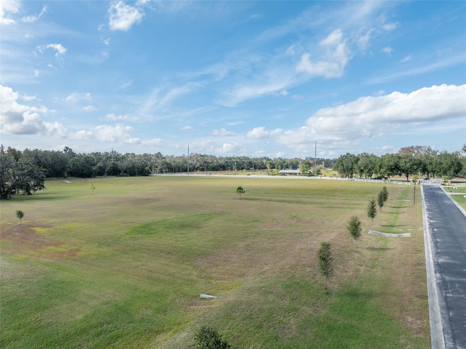 103 ALAFIA ESTATES LN — photo 12