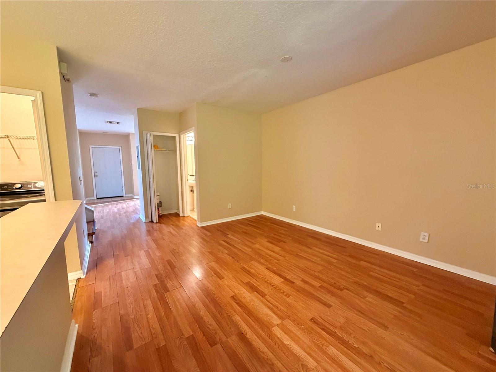 30209 SWINFORD LN — photo 6