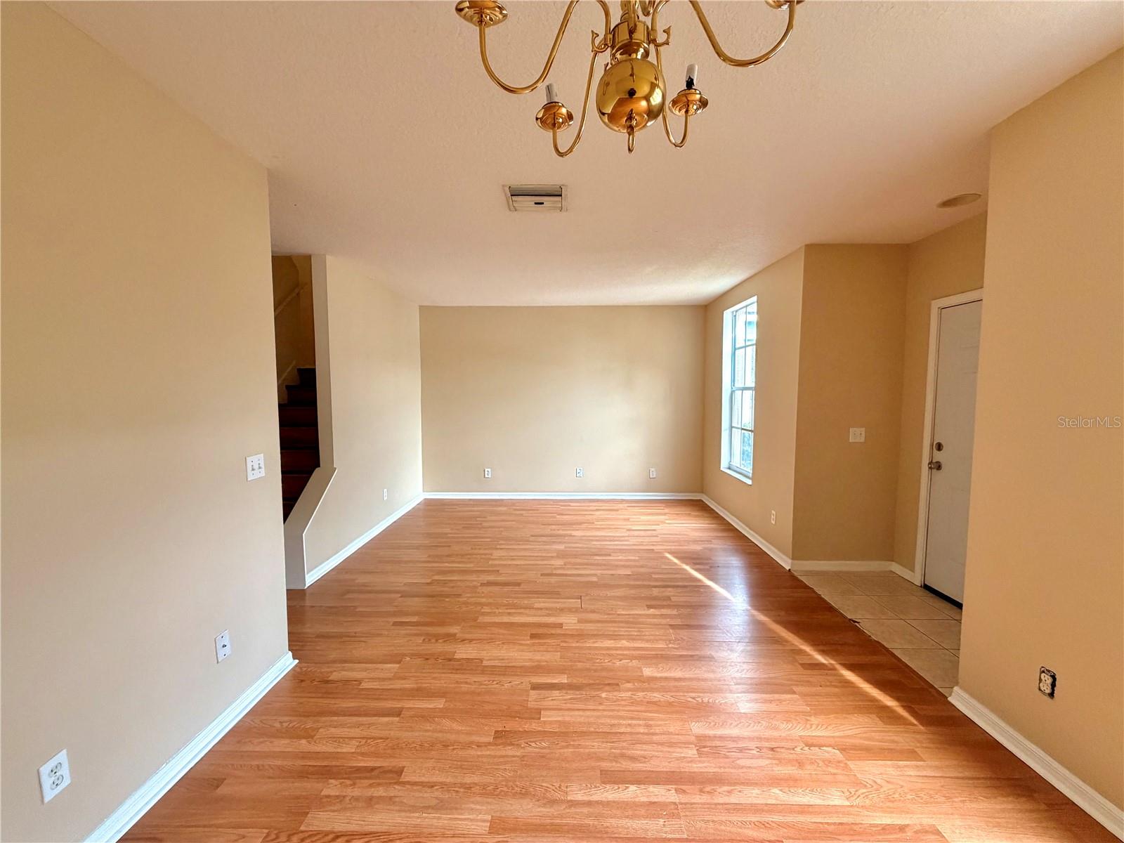 30209 SWINFORD LN — photo 3