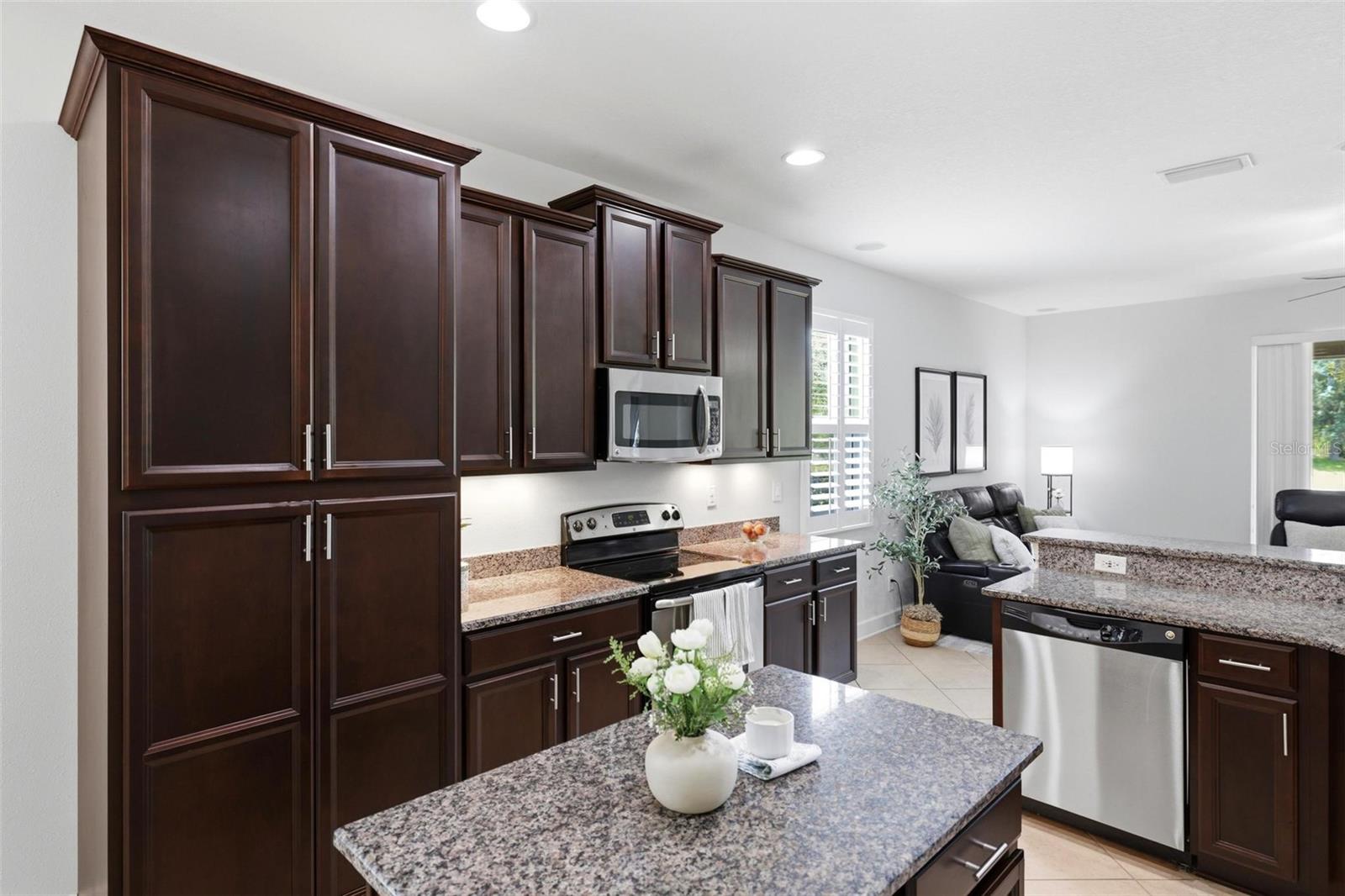 2199 TERRACINA DR — photo 18